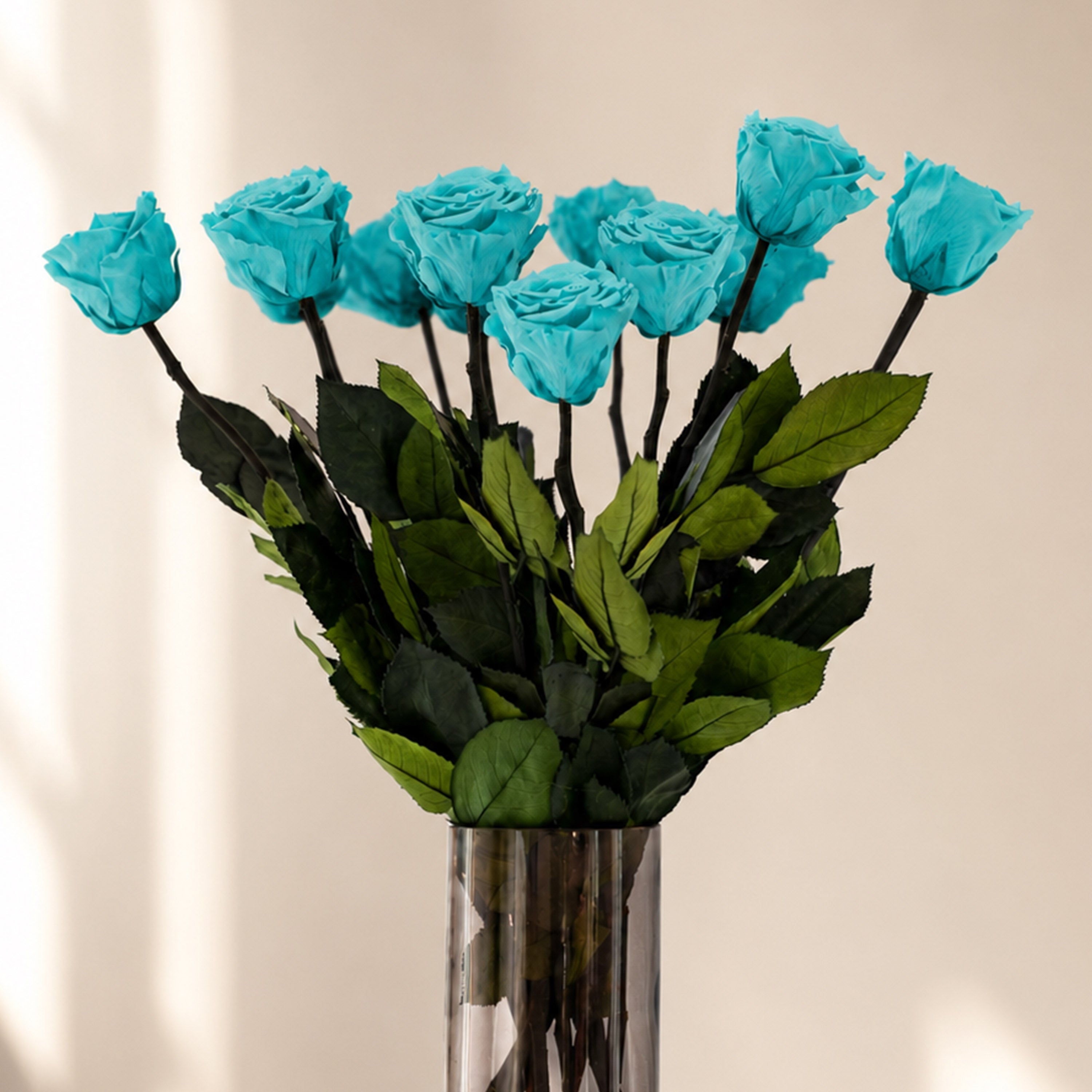 Long Stem Roses | Turquoise Roses