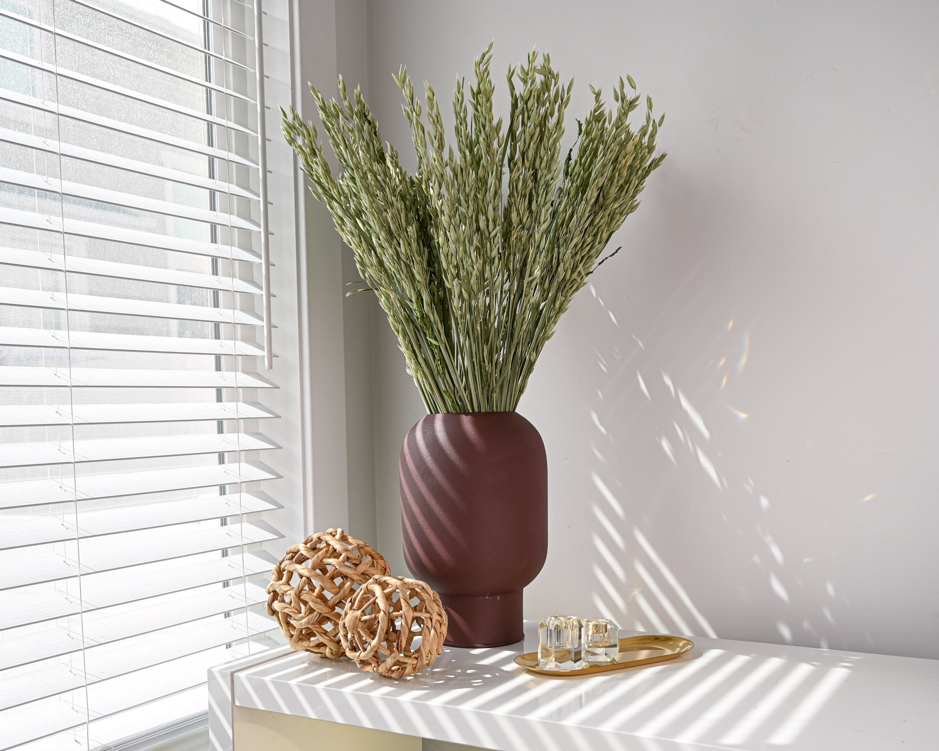 Avena Green Oats Stack | 8 Long Stem Bunches | Light Green