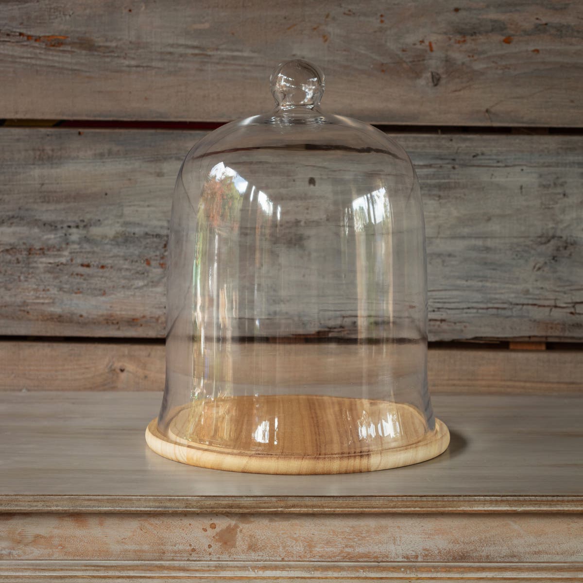 Glass Cloche No. 12 with Wooden Base