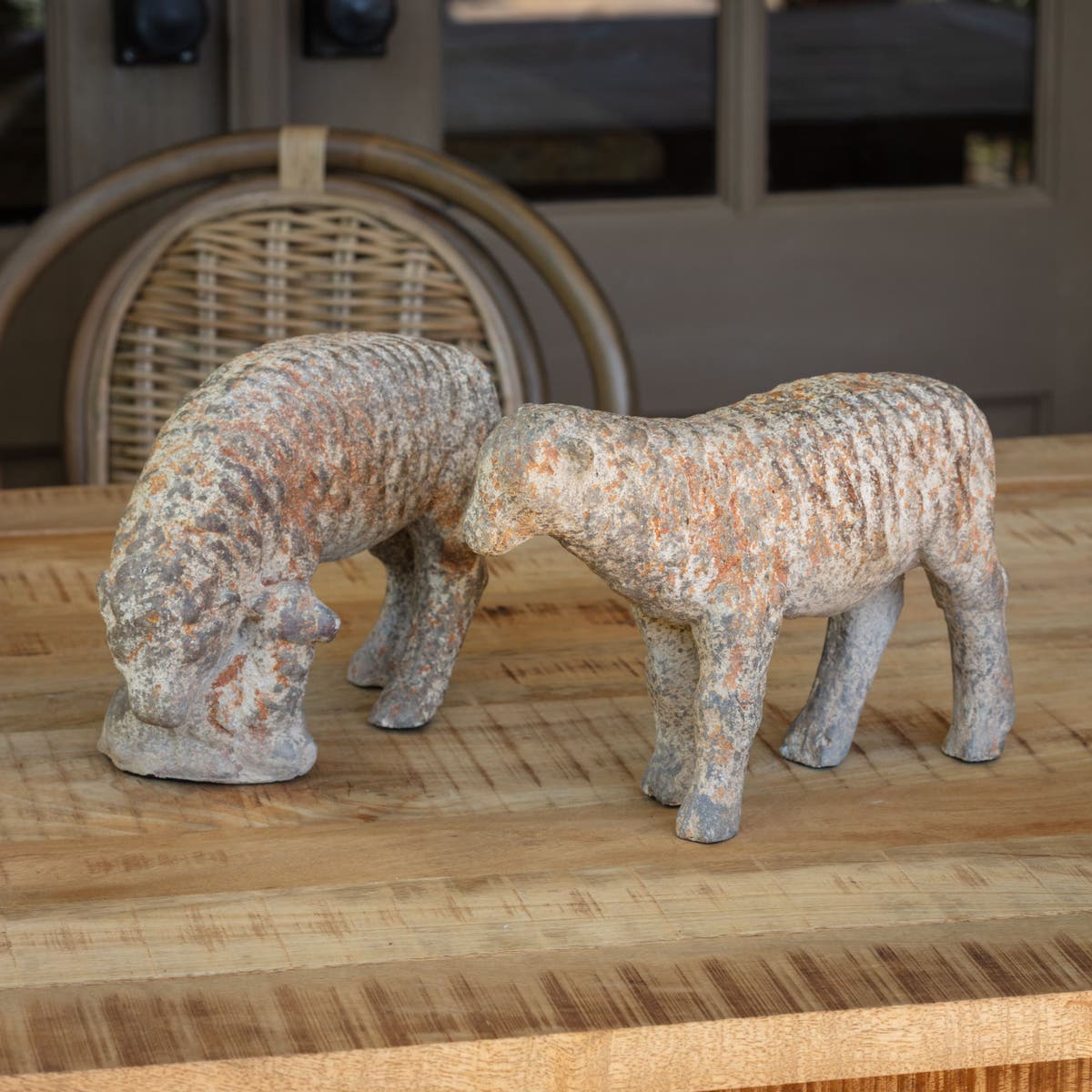 Old World Sheep