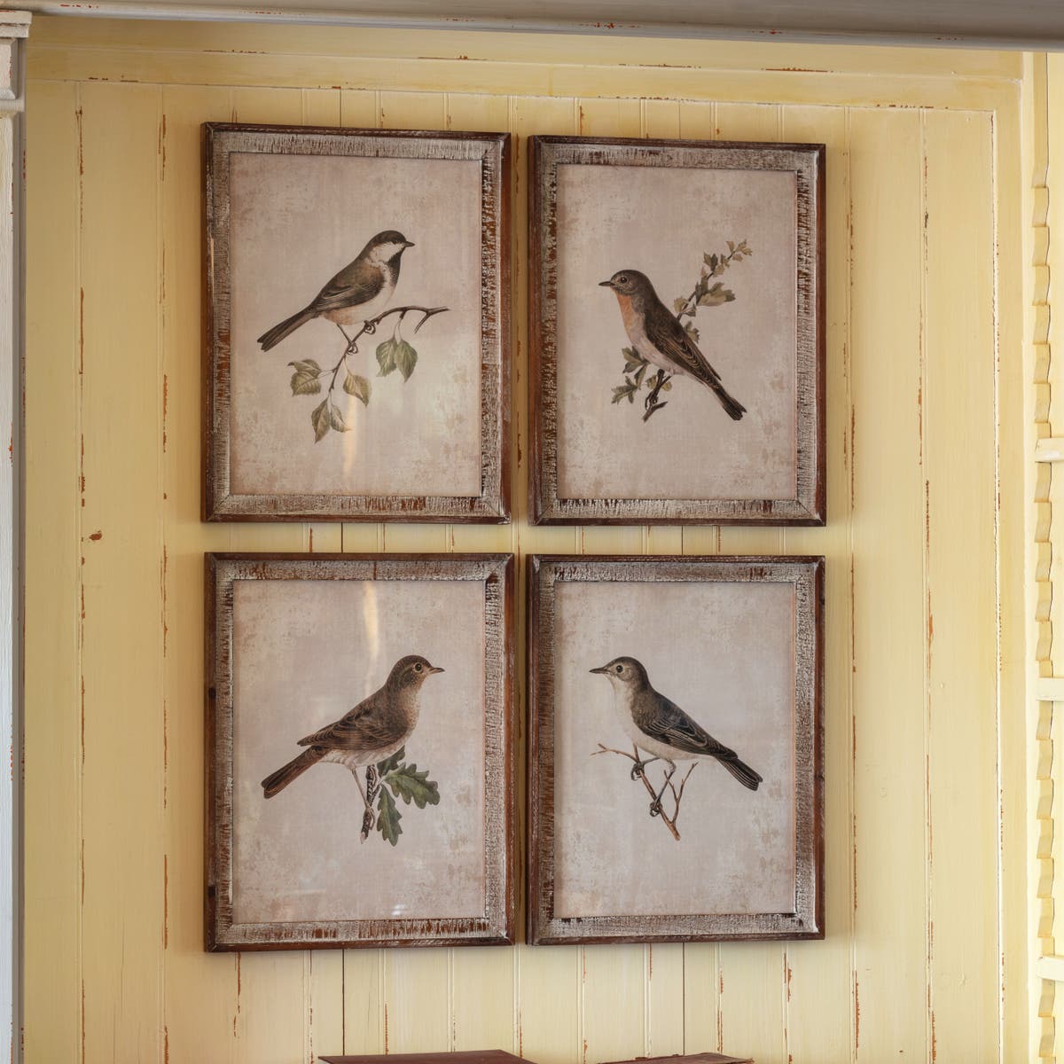 Framed Songbird Prints - - Set of 4