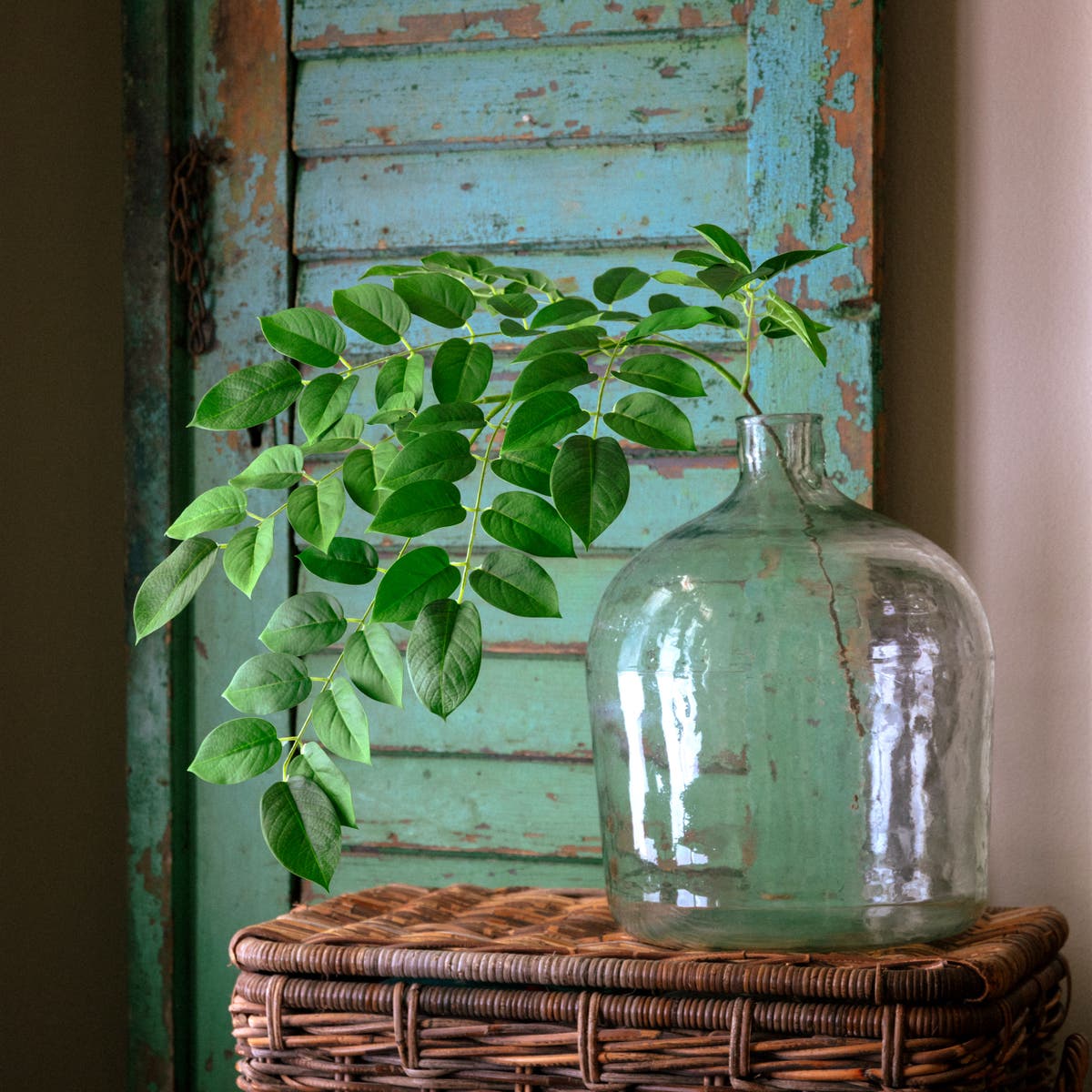 Arabica Leaf Natural Touch Green