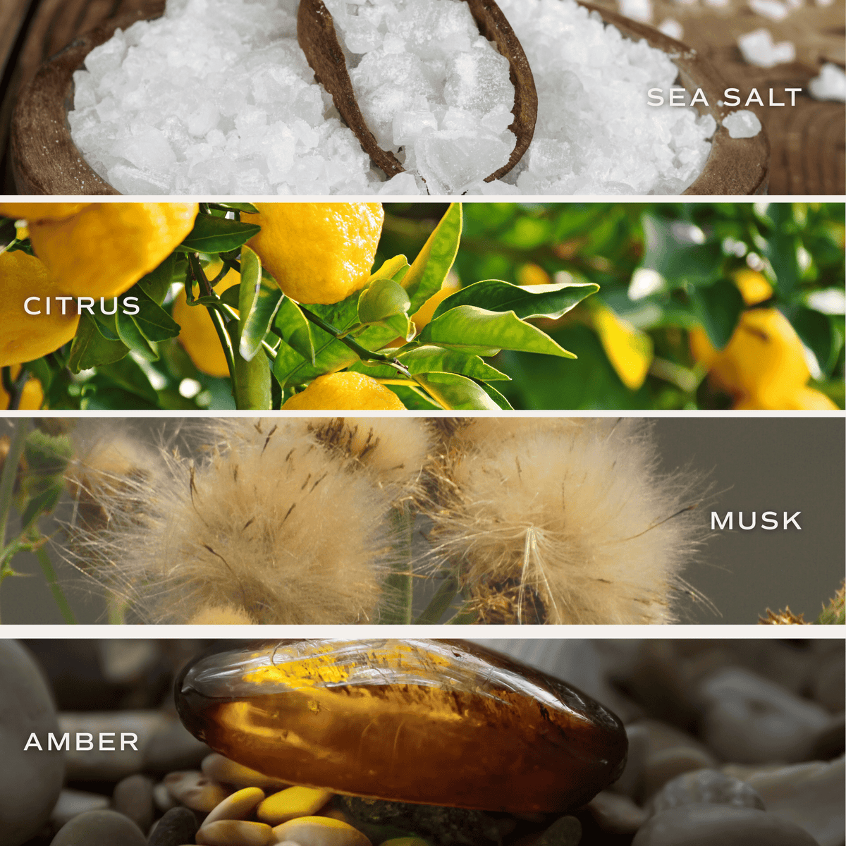 Candle Gift Box Set (Salt and Sea, Island Air, Palo Santo Patchouli)