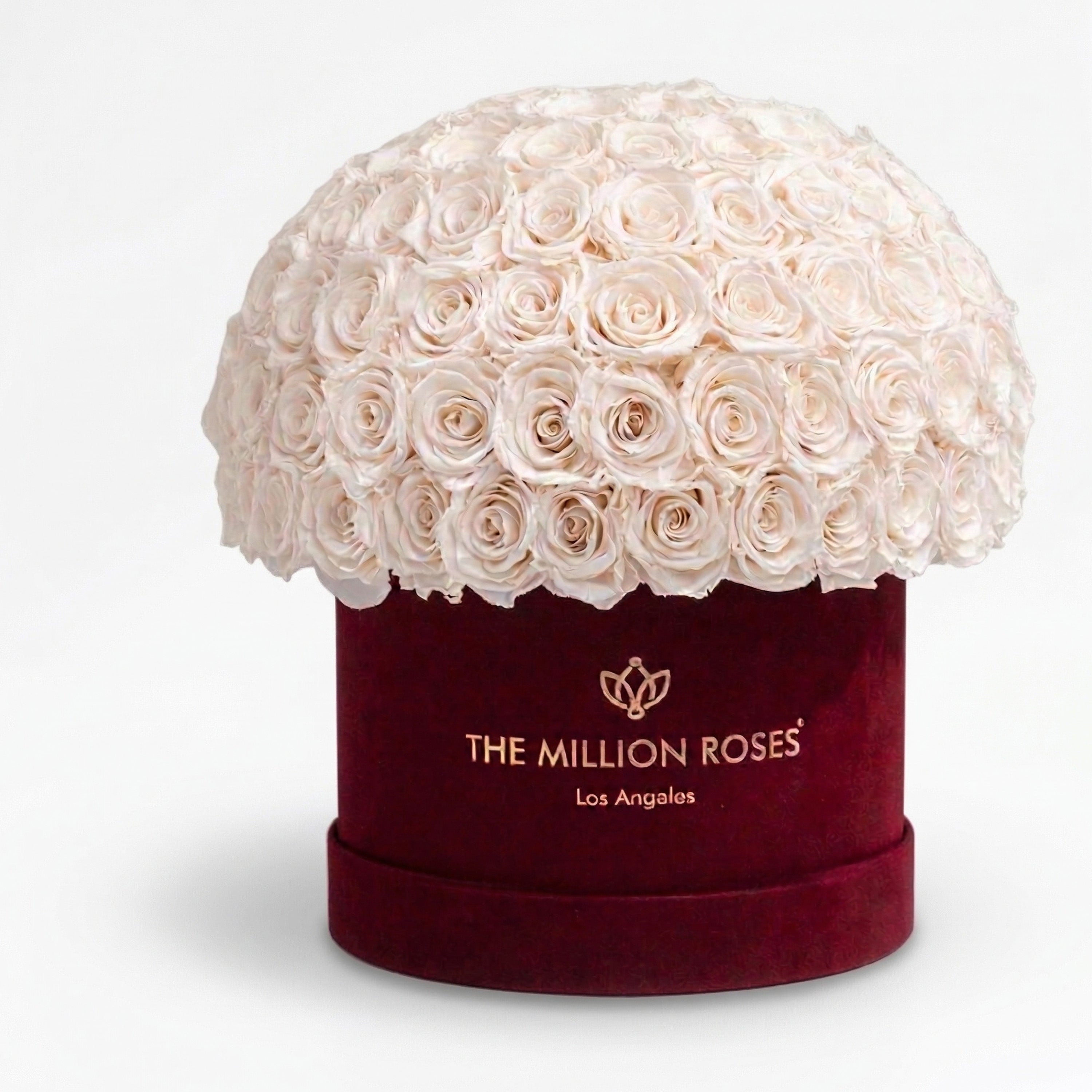 Supreme Bordeaux Suede Superdome Box | White Roses