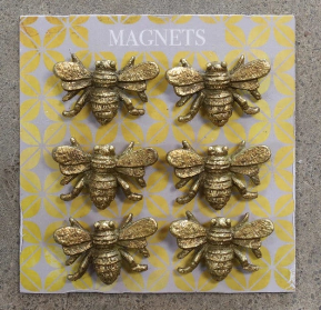 Magnets on Card - Set of 6