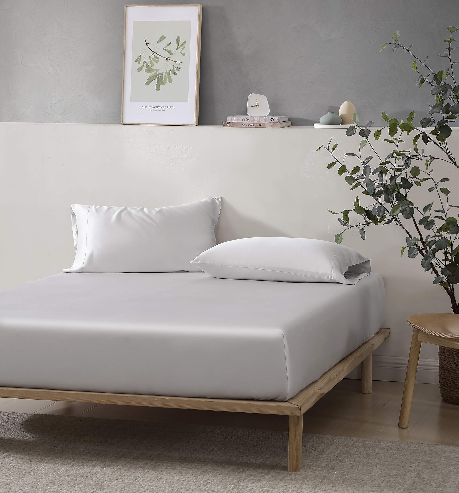 Silky Lyocell Pillowcase Set