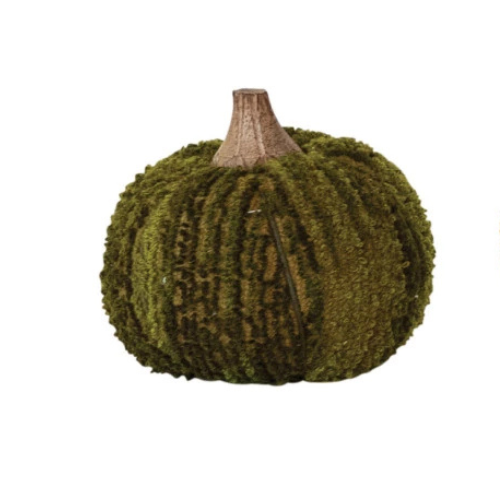 Pumpkin w/ Wood Stem