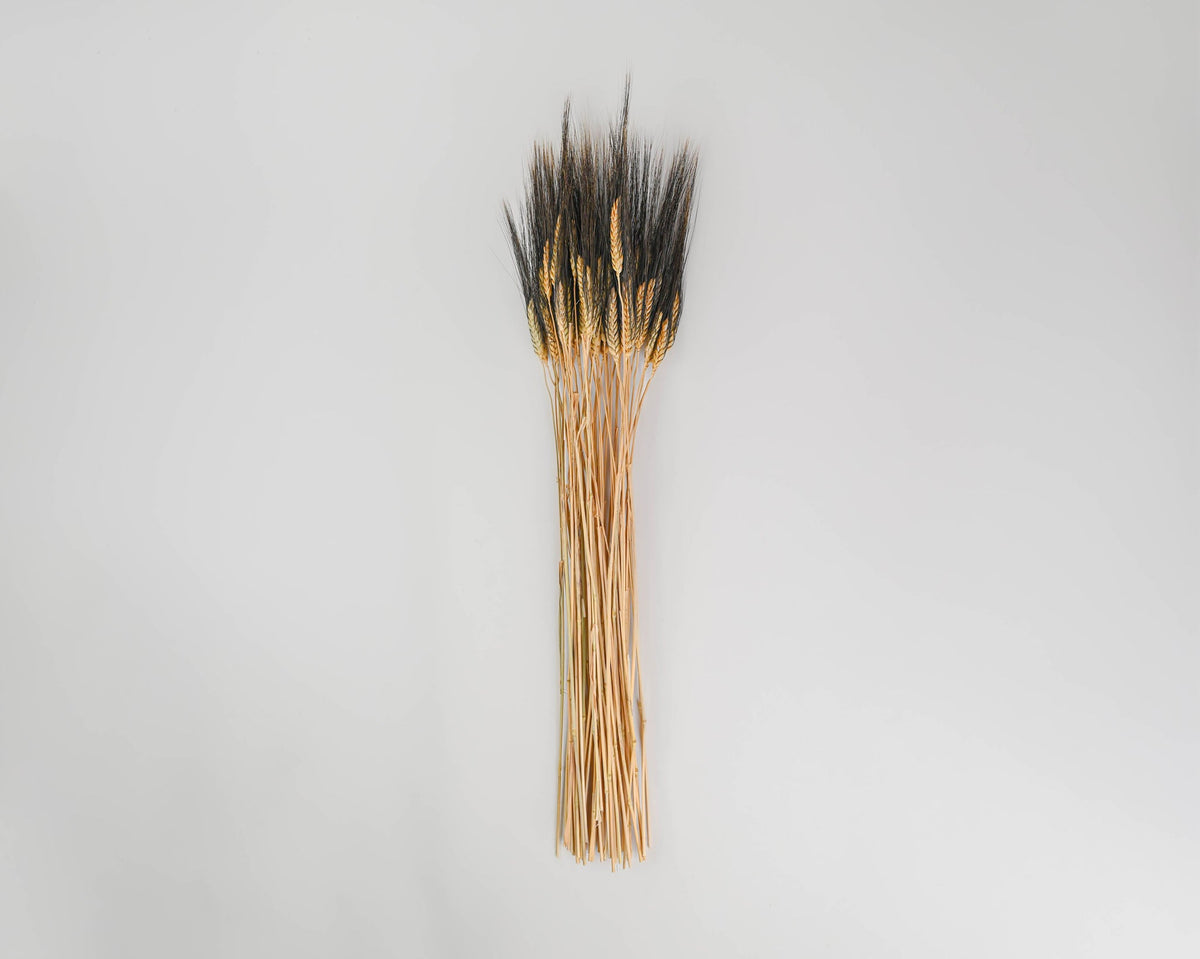 Blackbeard Wheat Stacks, Small - Grande Size