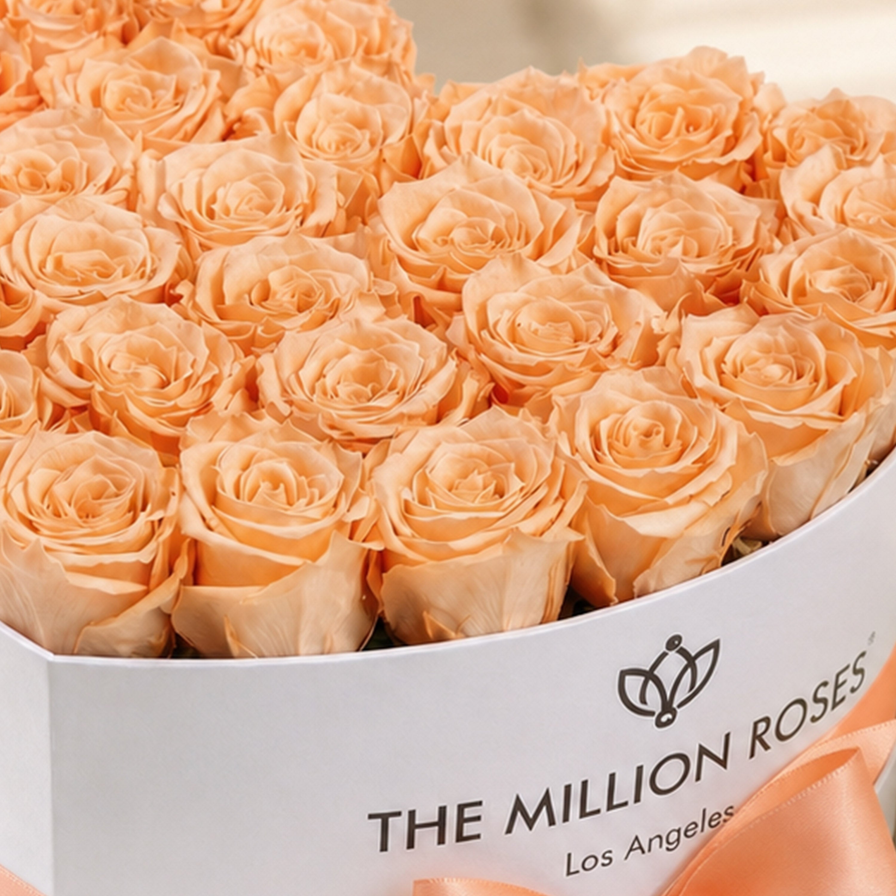 Heart White Box | Peach Roses