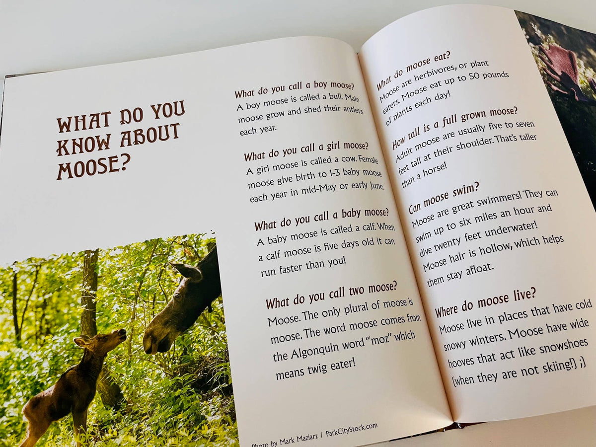 Gilbert the Moose Loses His Antlers - children's book