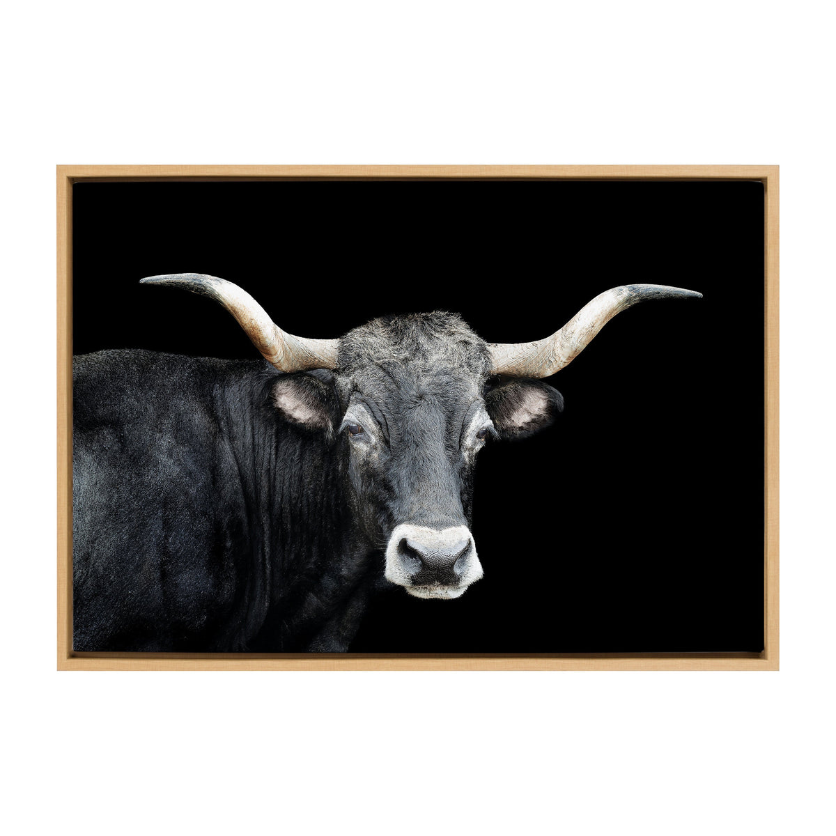 Sylvie Tudanca Cow Longhorn Bull Cattle Animal Framed Canvas by Xyo