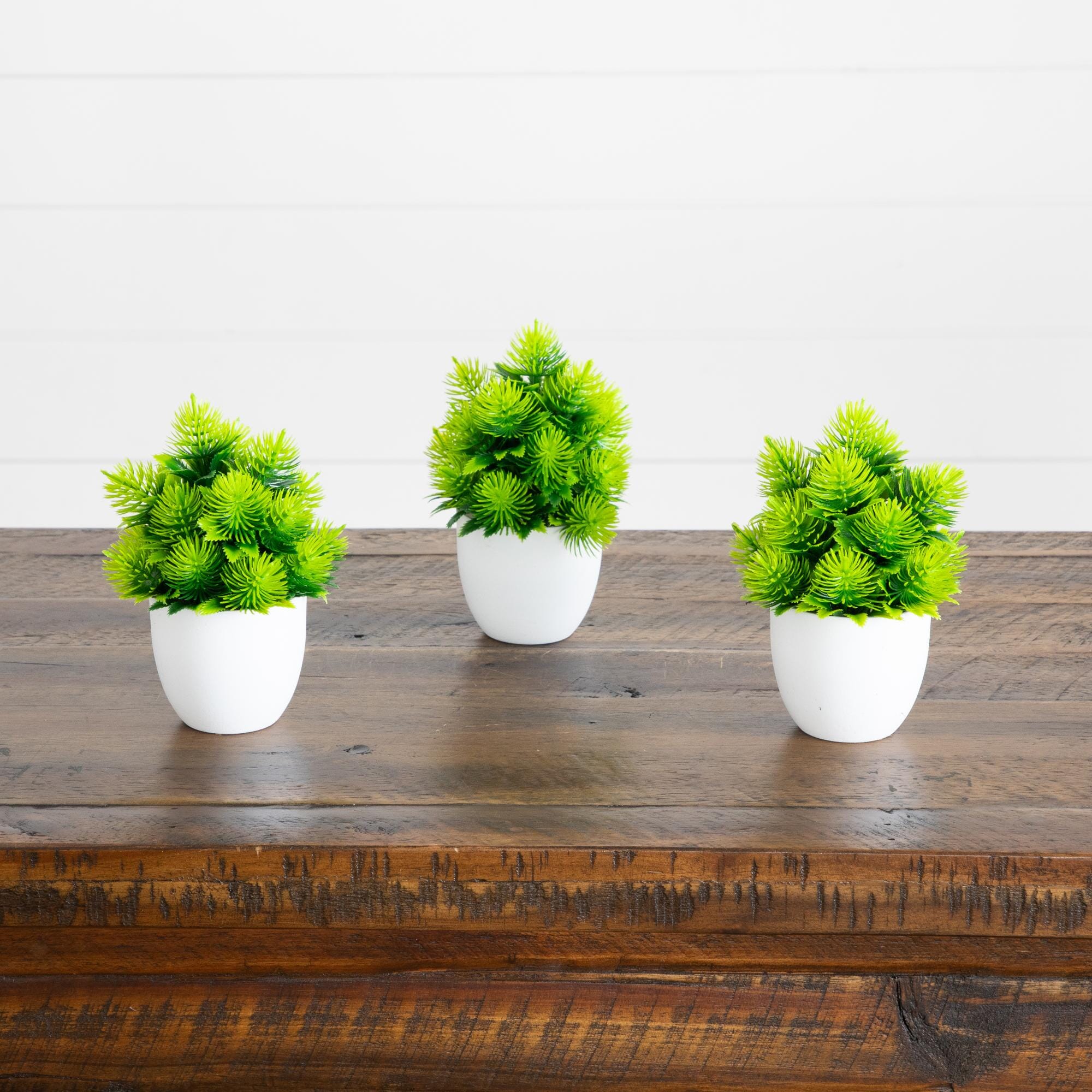 6” Artificial Cactus Plant in White Round Pot - Set of 3