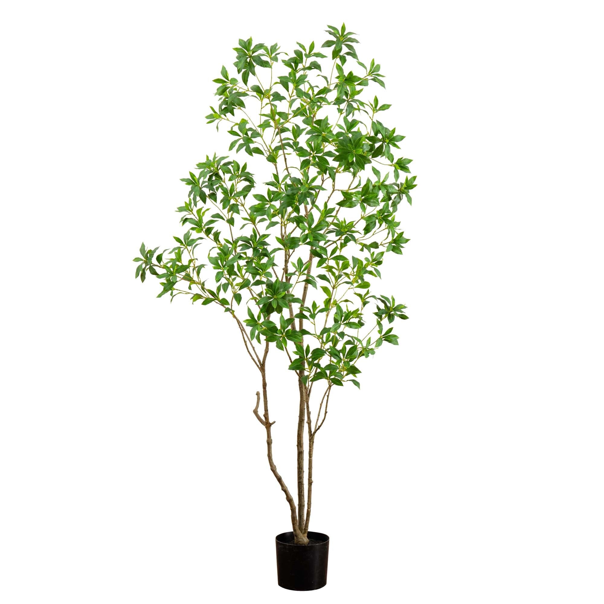 7’ Artificial Minimalist Japanese Pieris Tree