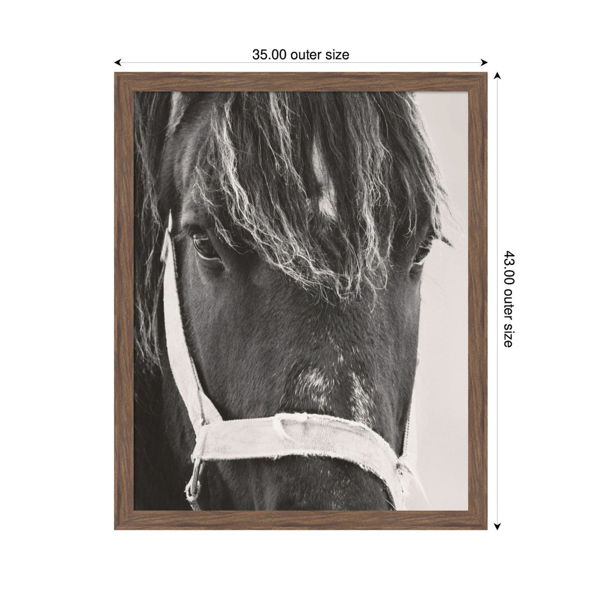Black Horse by Emiko and Mark Franzen F2 Images Framed Wall Art Print