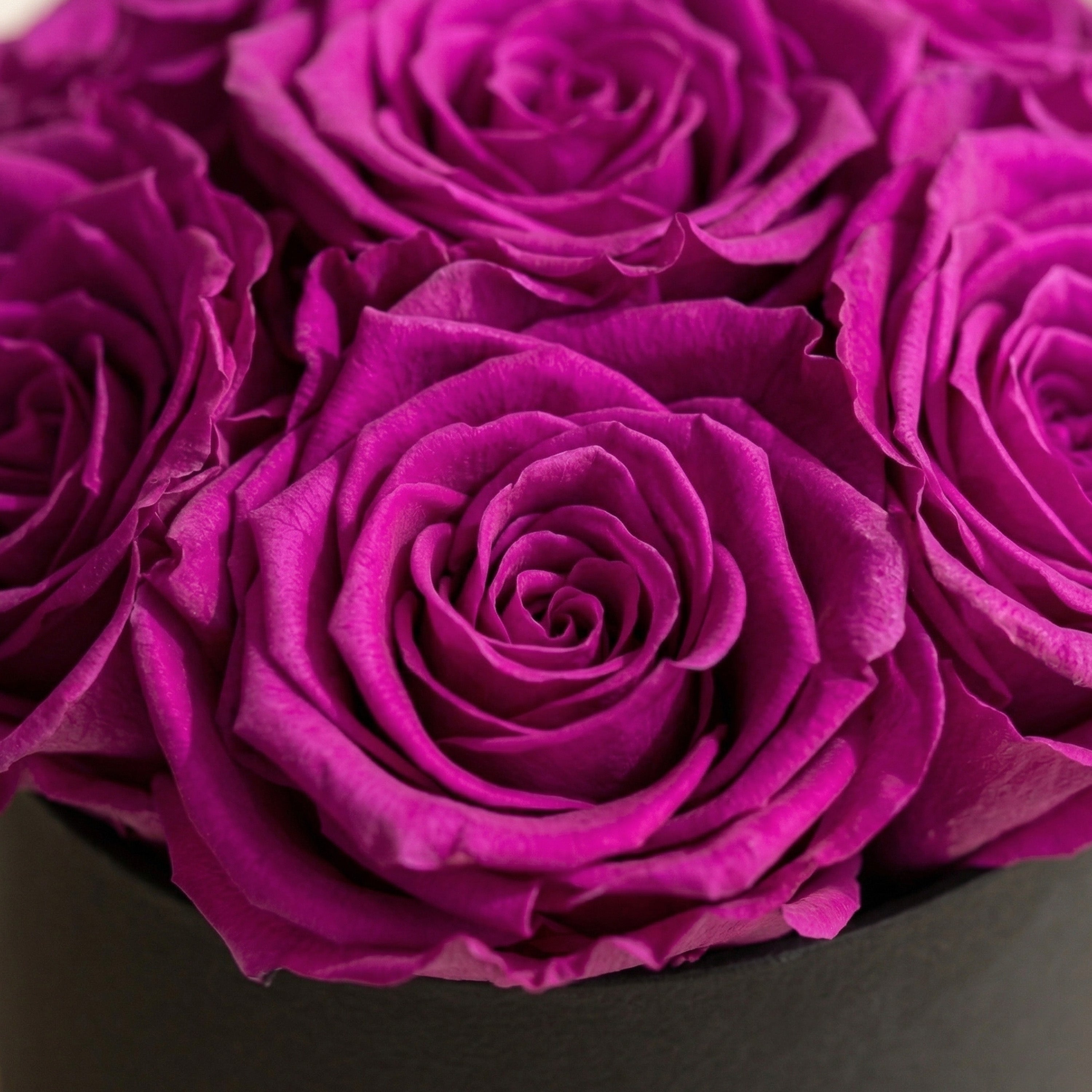 Essence Black Box | Bright Purple Roses