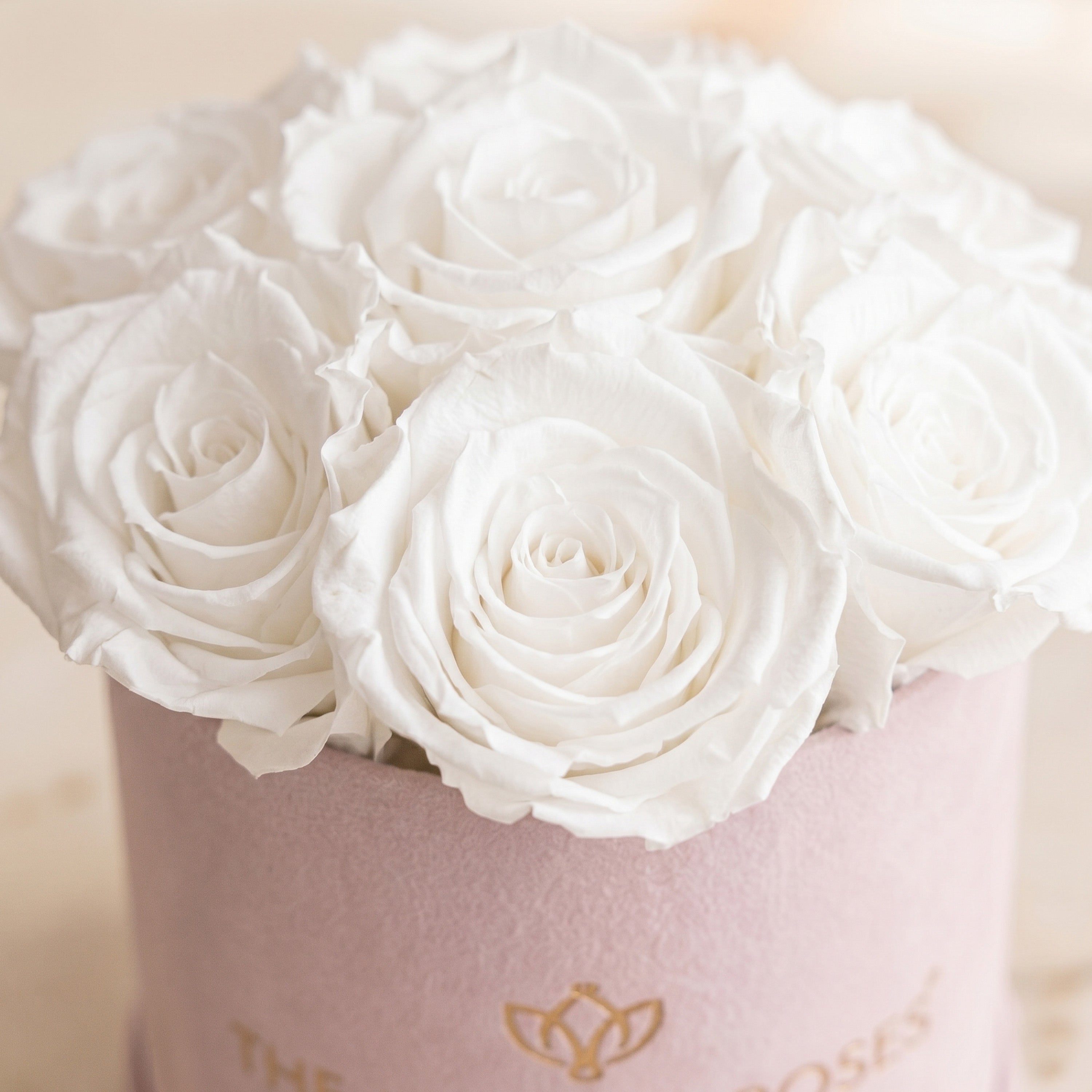 Essence Light Pink Suede Box | White Roses