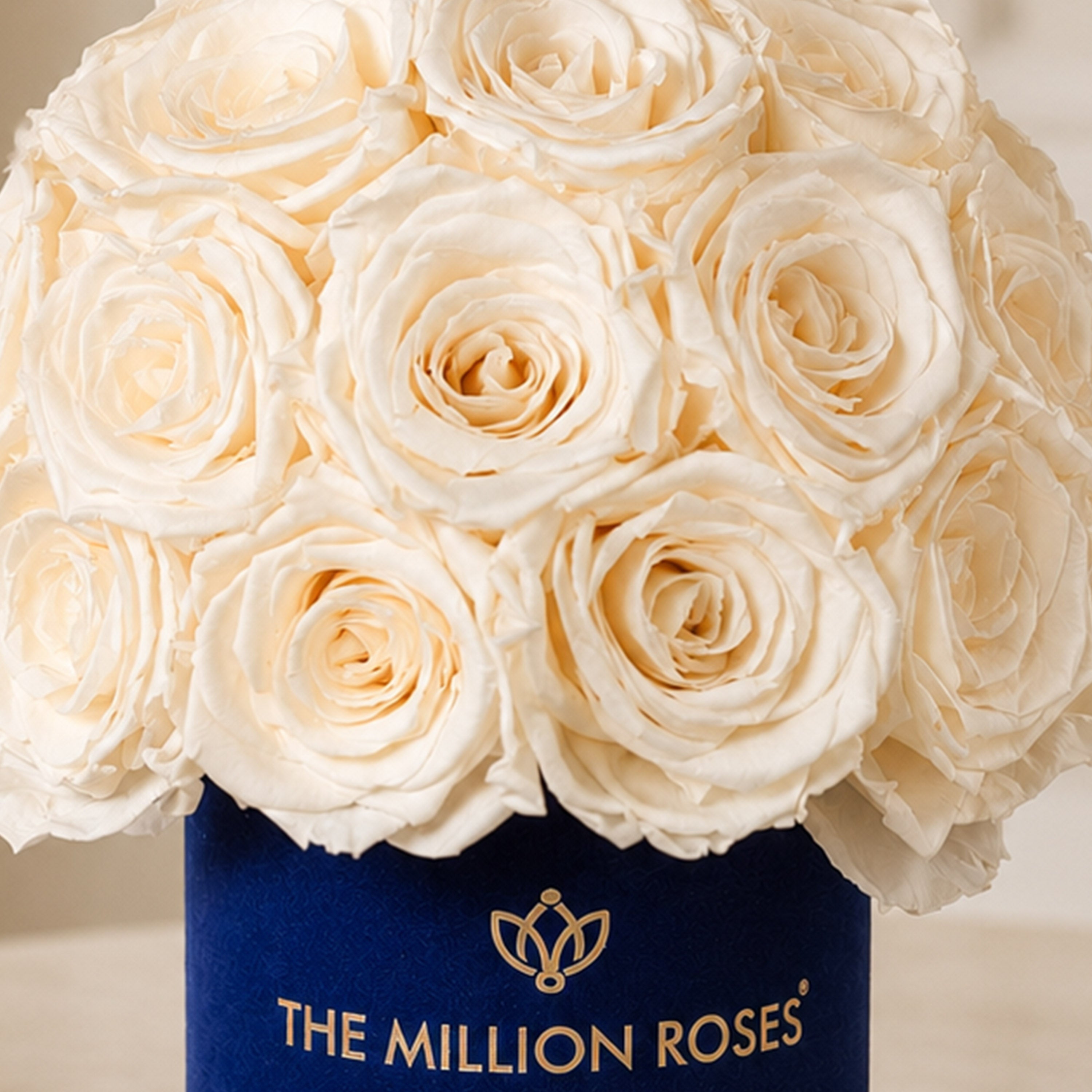 Essence Royal Blue Suede Superdome Box | White Roses
