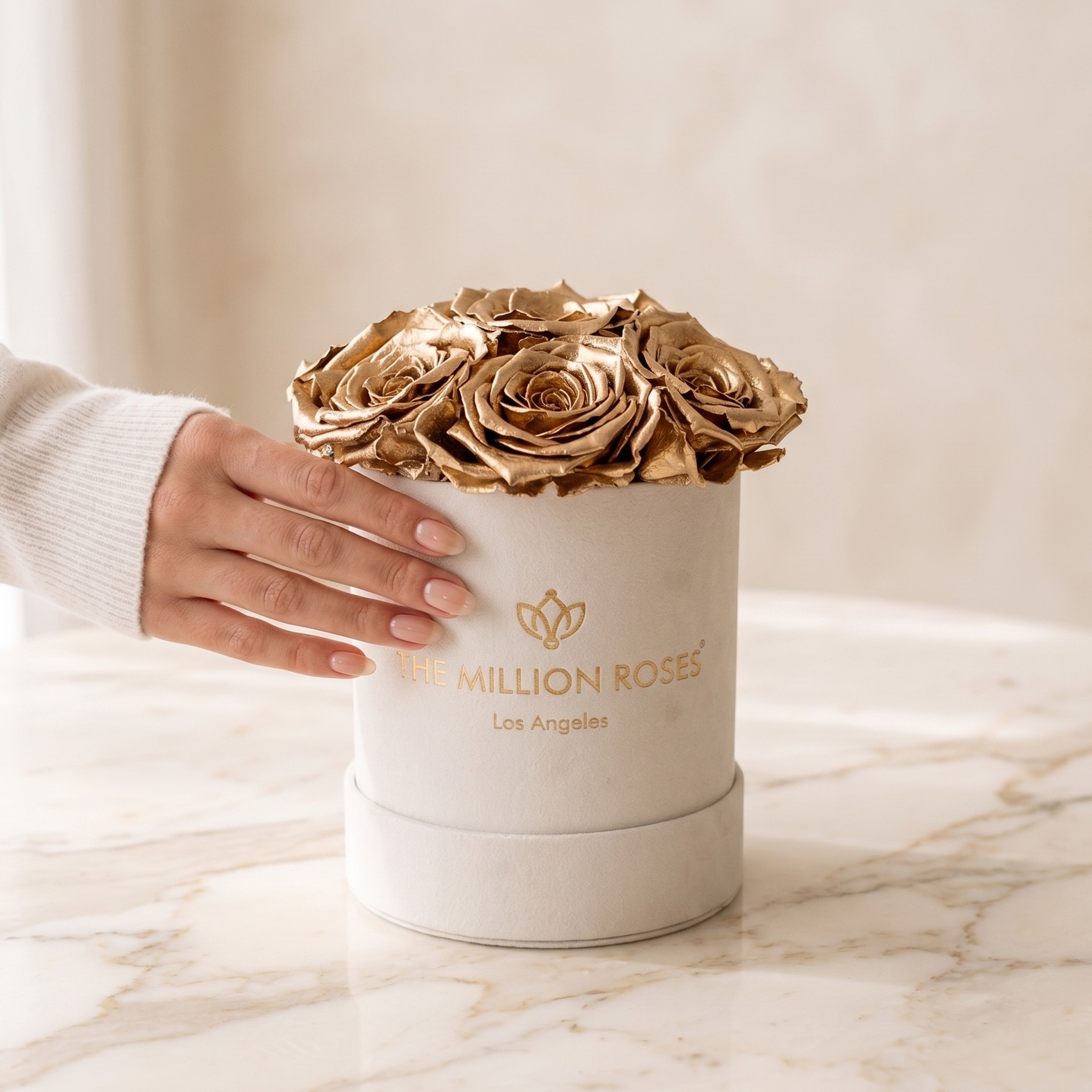 Essence Beige Suede Box | Gold Roses