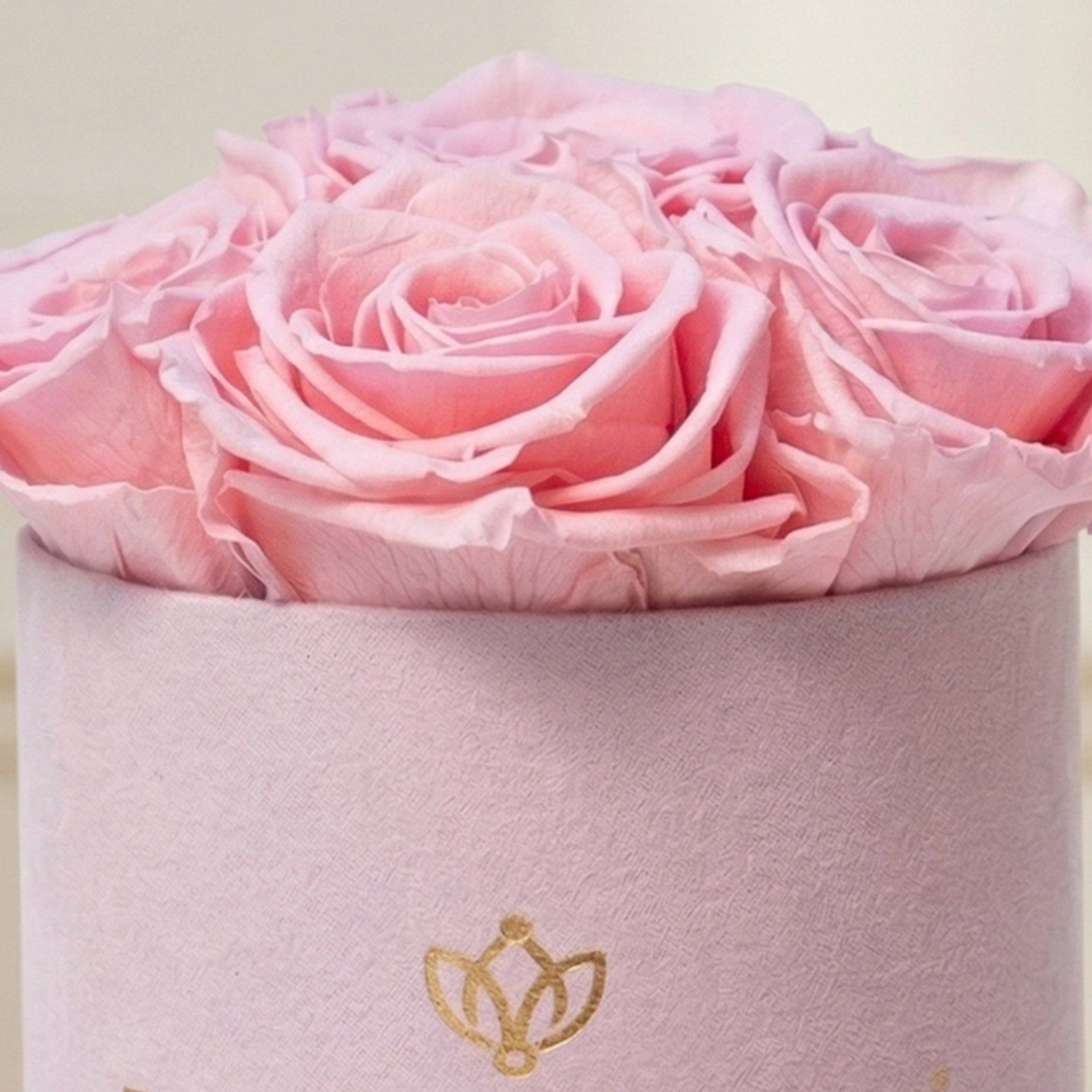 Essence Light Pink Suede Box | Light Pink Roses