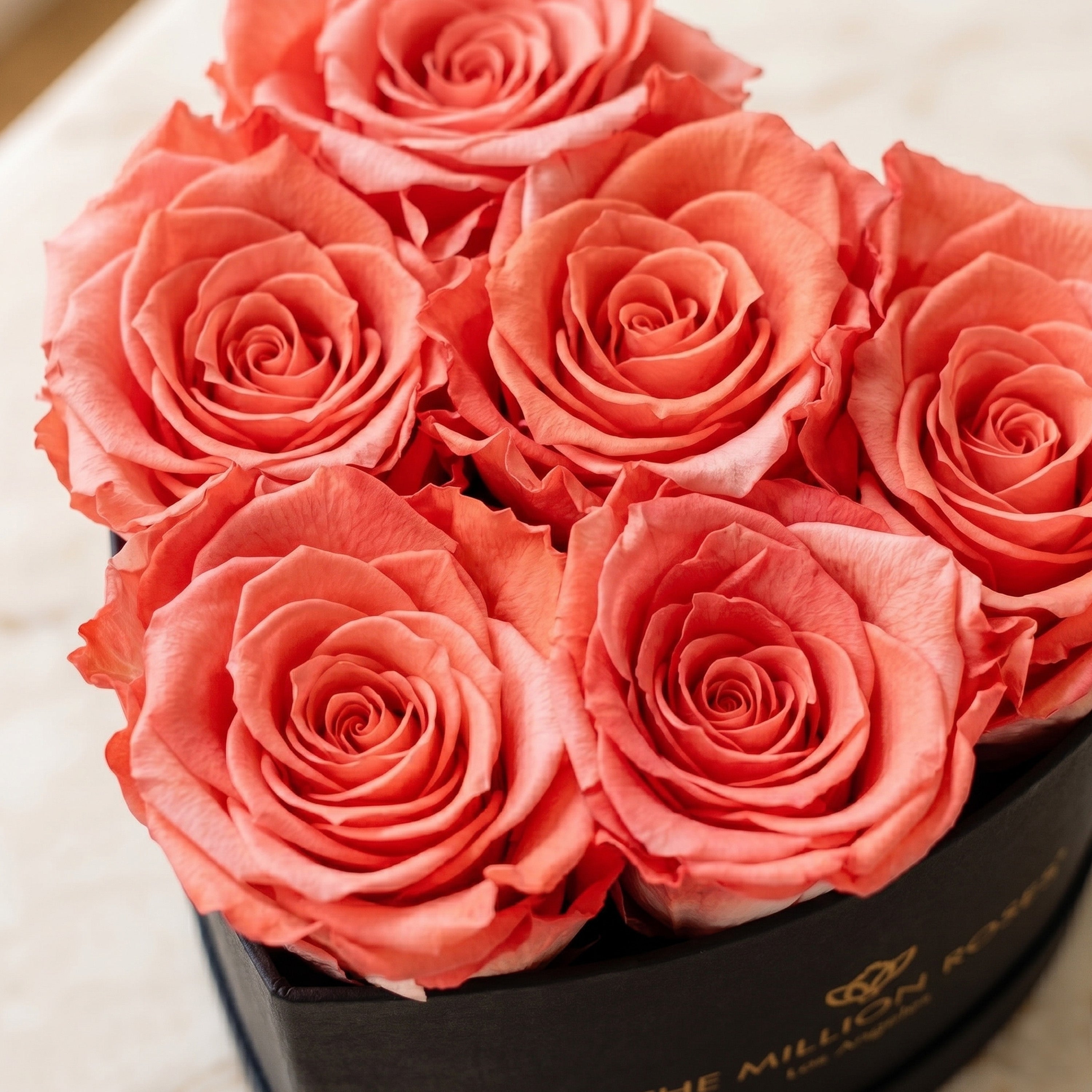 Baby Heart Black Box | Coral Roses