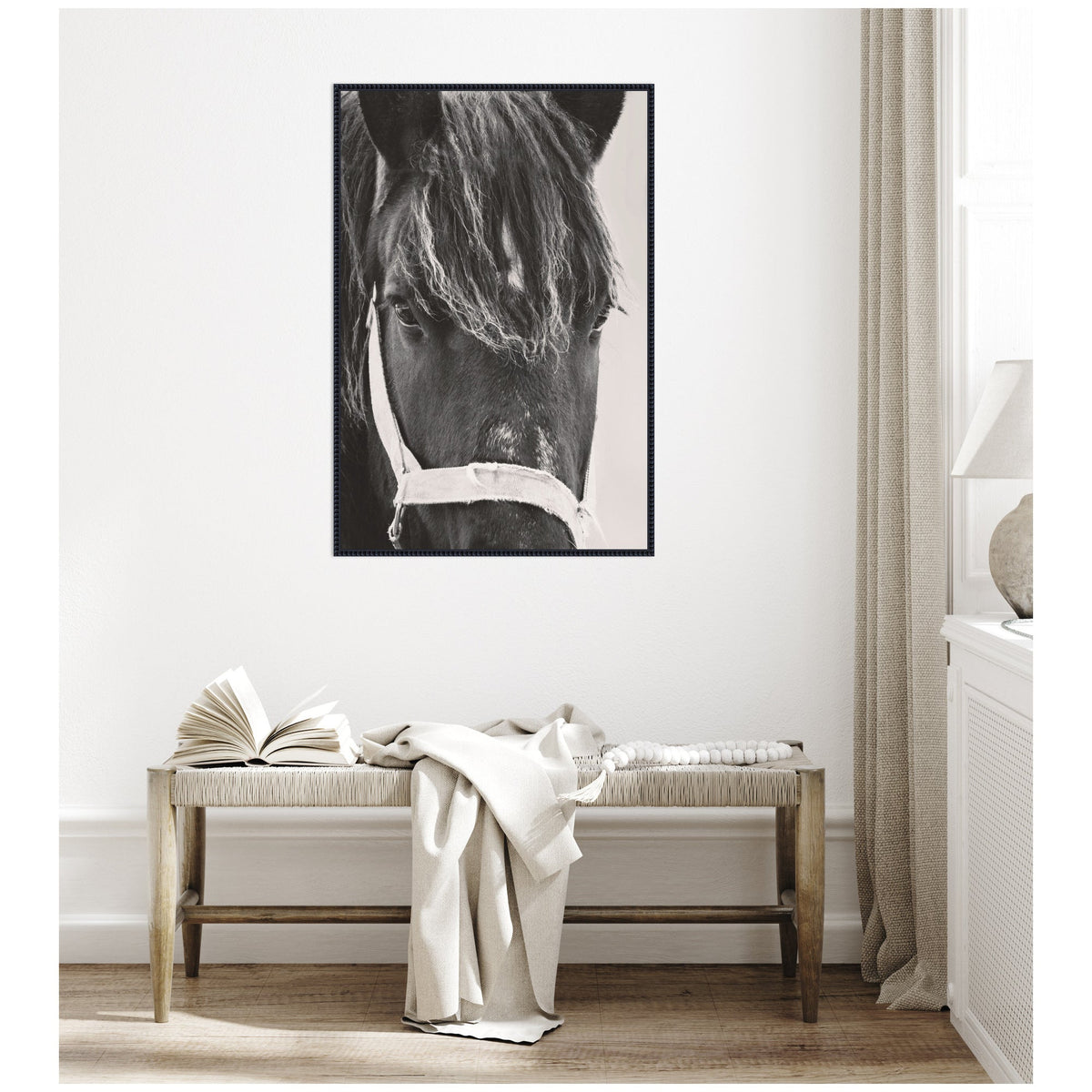 Black Horse by Emiko and Mark Franzen F2 Images Framed Canvas Wall Art Print