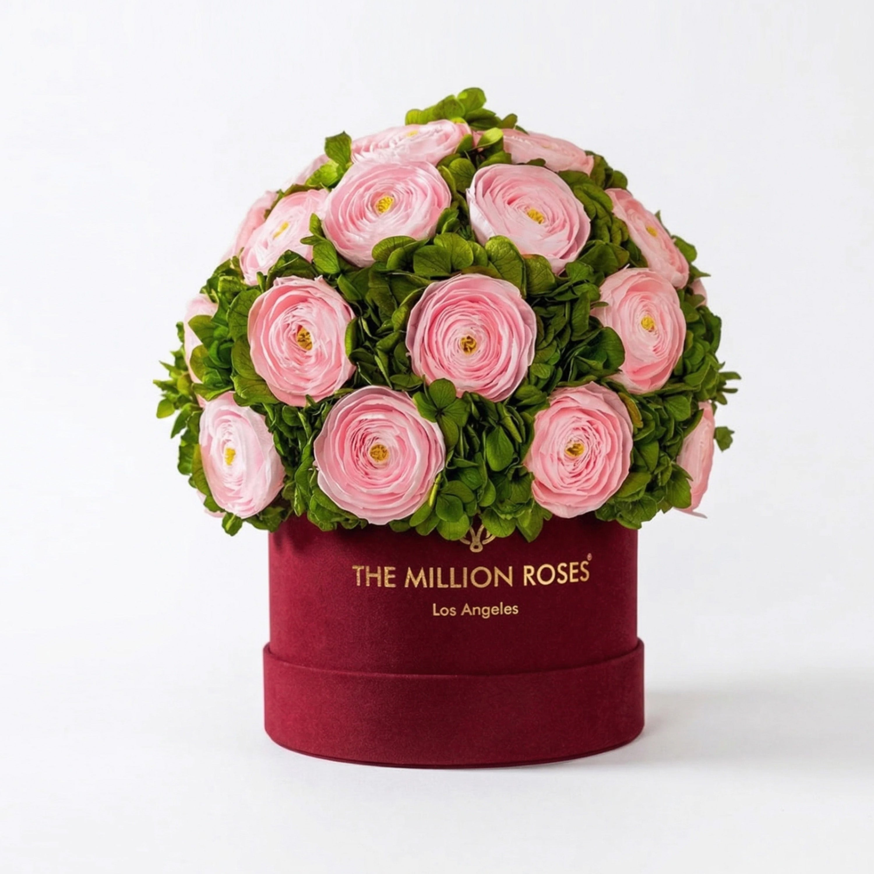 Classic Bordeaux Suede Box | Light Pink Persian Buttercups & Green Hydrangeas