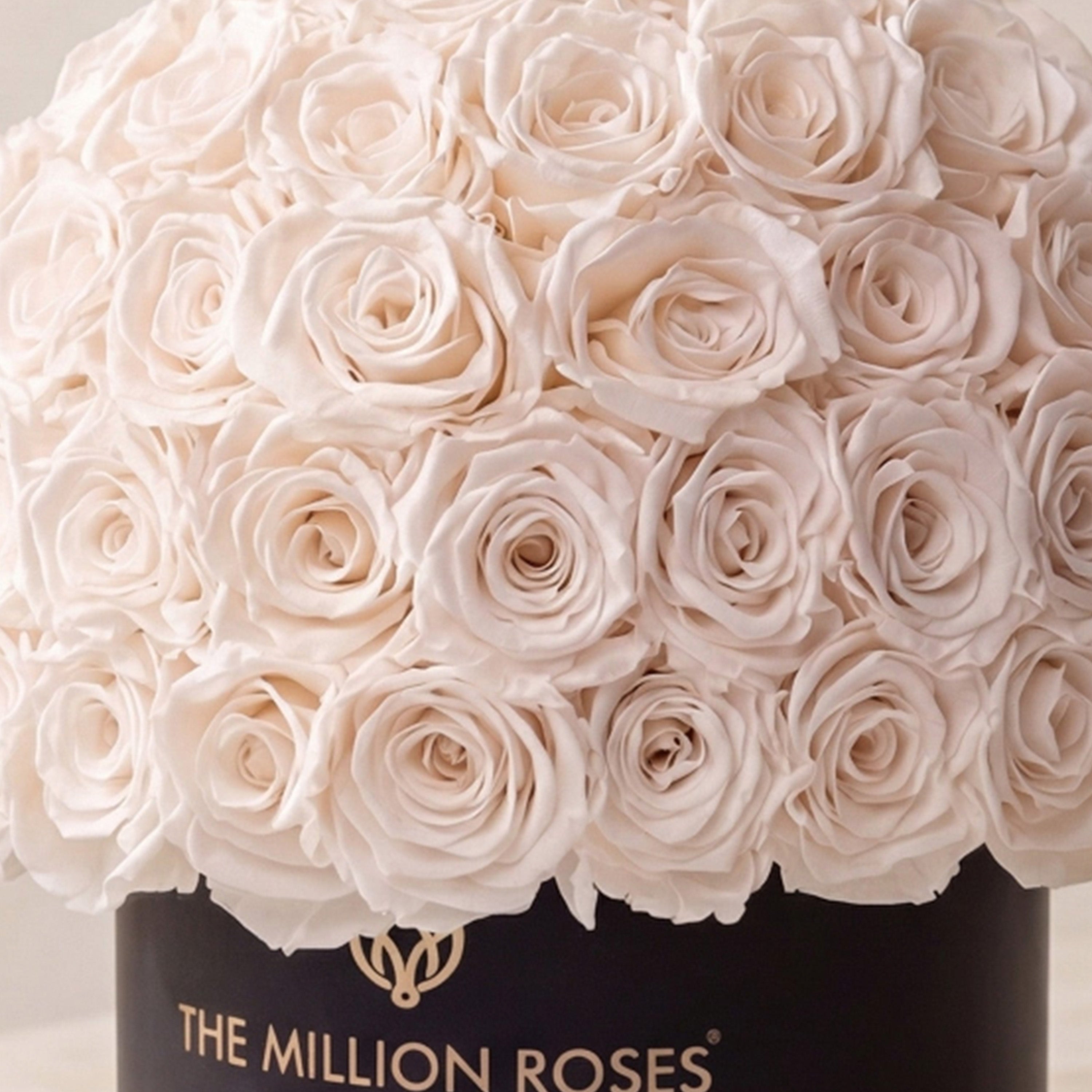 Classic Black Superdome Box | White Roses
