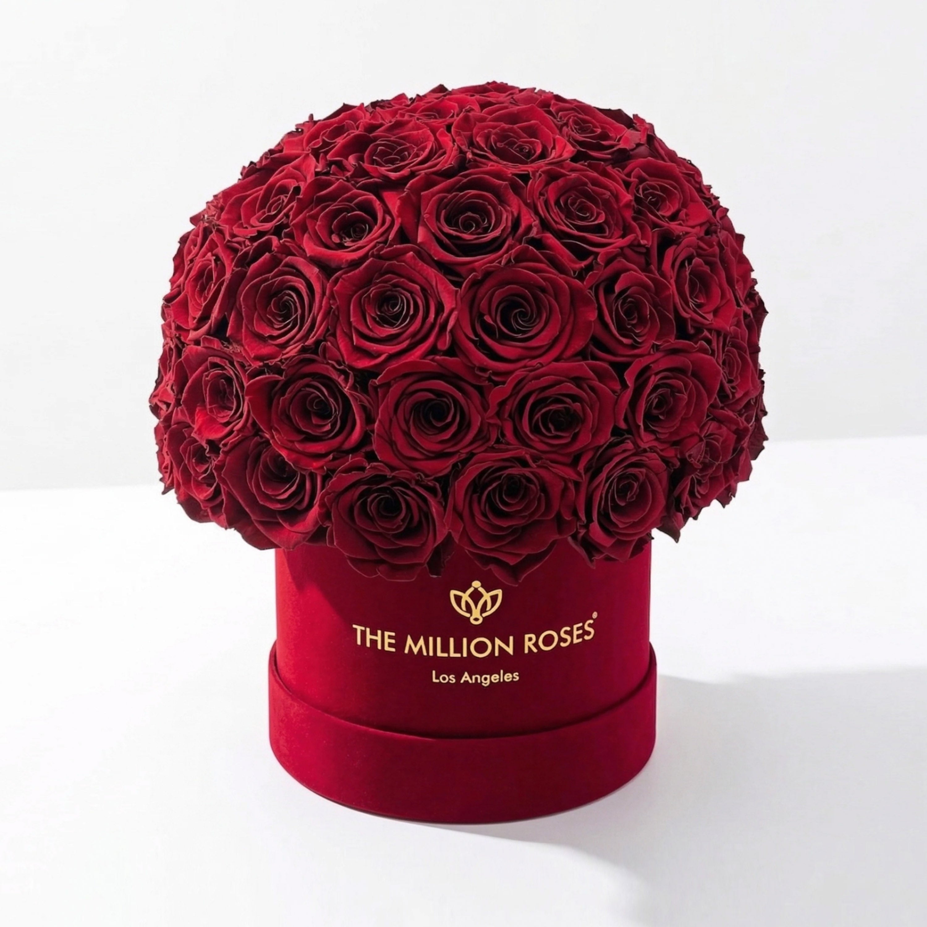 Classic Bordeaux Suede Superdome Box | Burgundy Roses