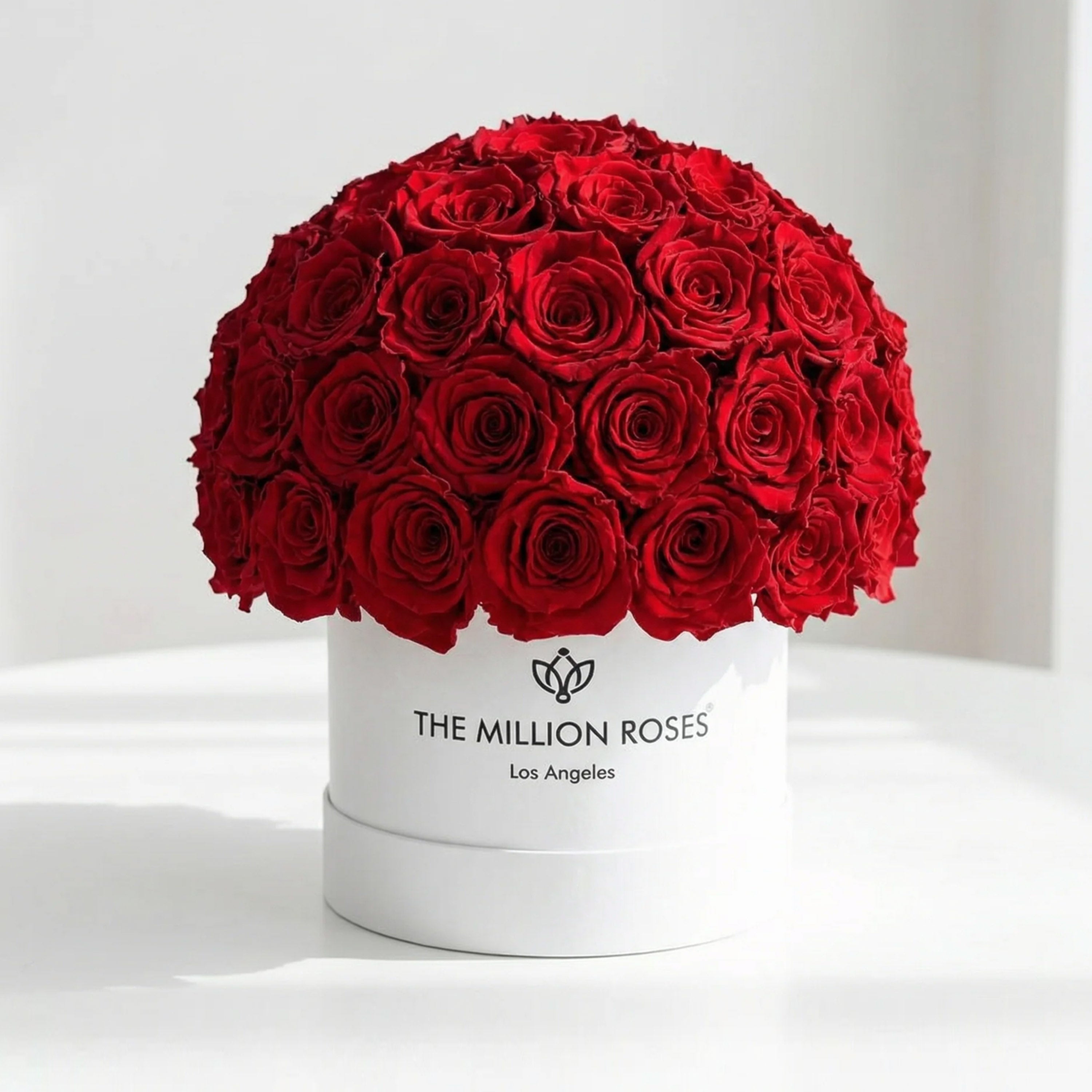 Classic White Superdome Box | Red Roses