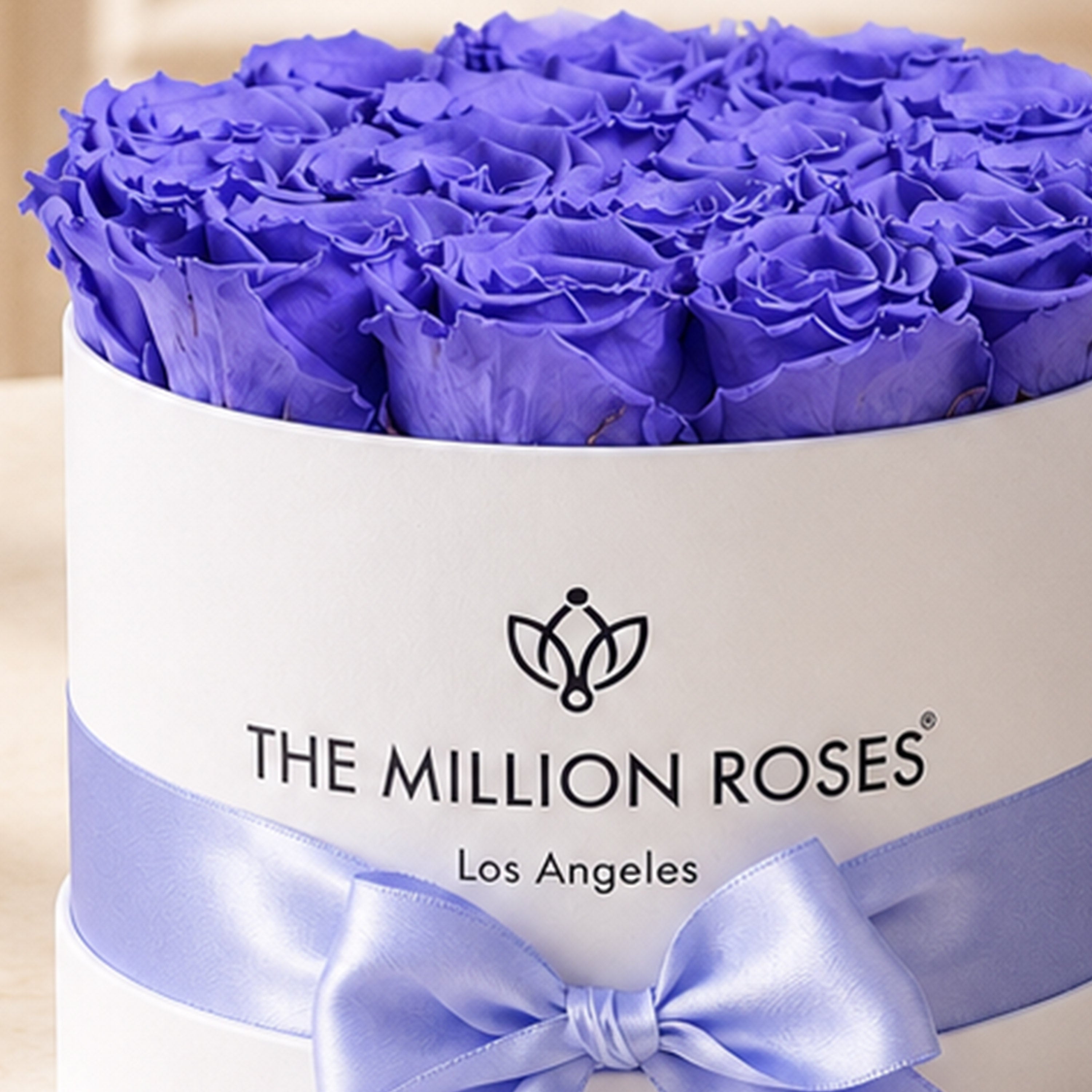 Classic White Box | Violet Roses