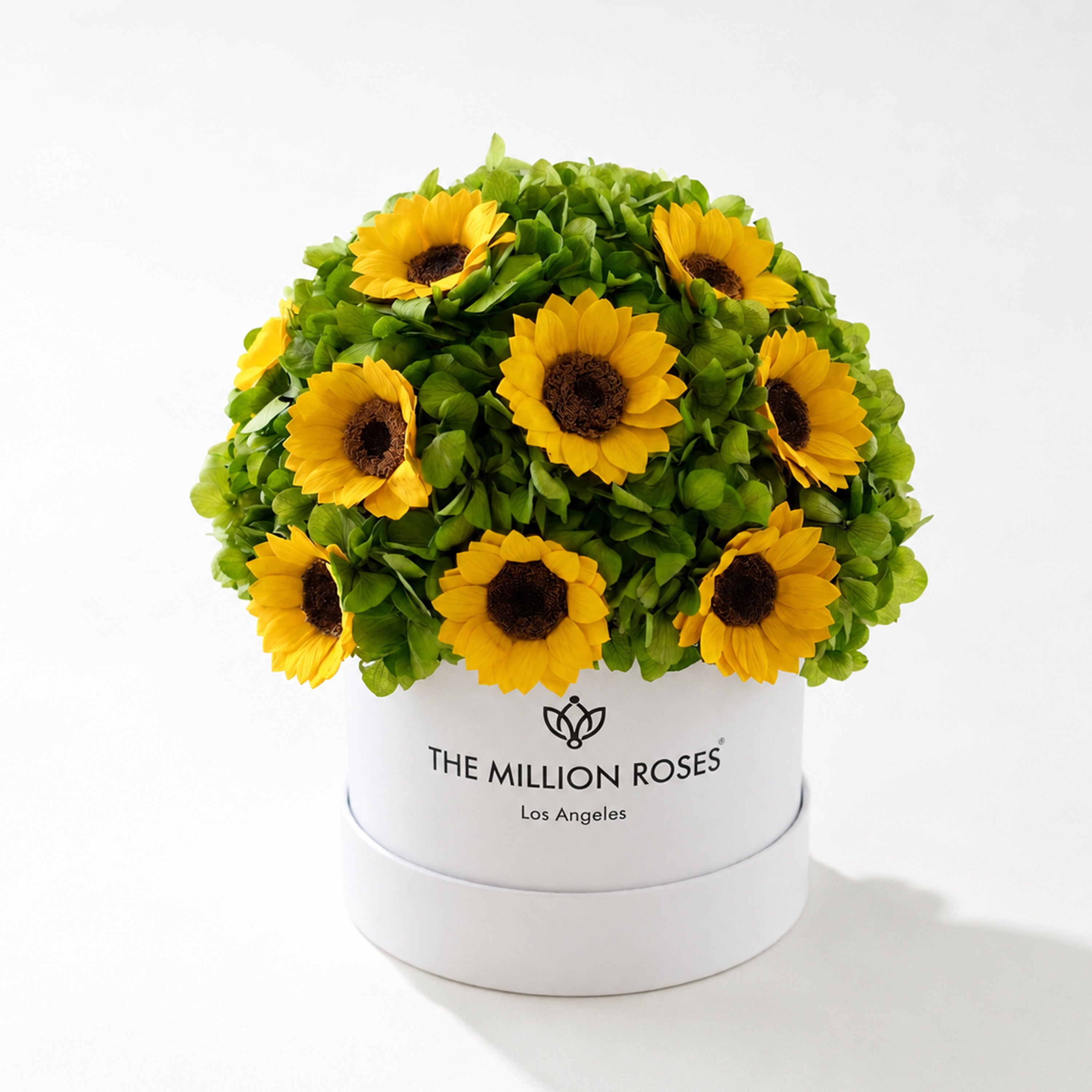 Classic White Box | Green Hydrangeas & Sunflowers
