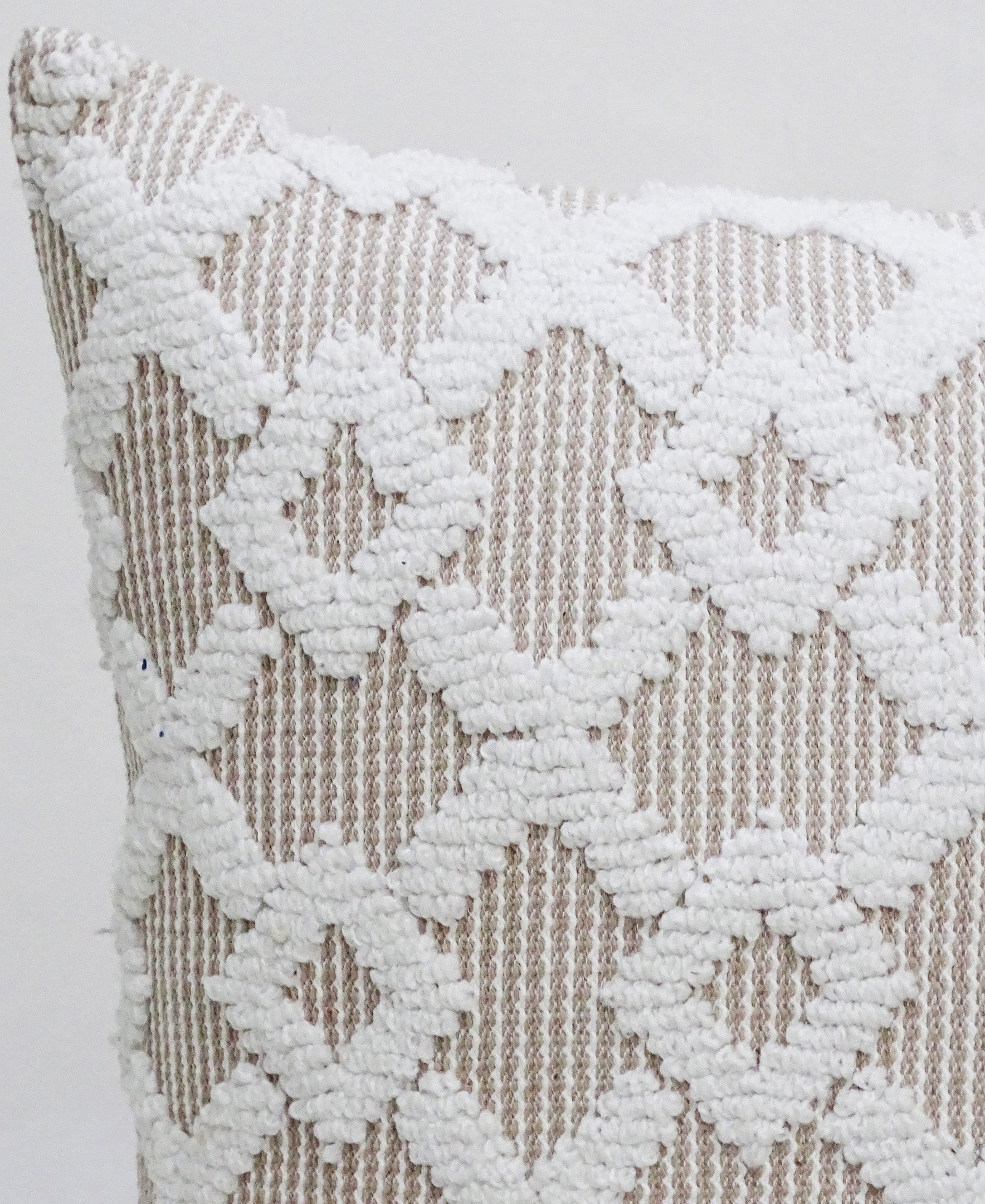 Decorative Beige Accent Throw Pillow 20"x20"