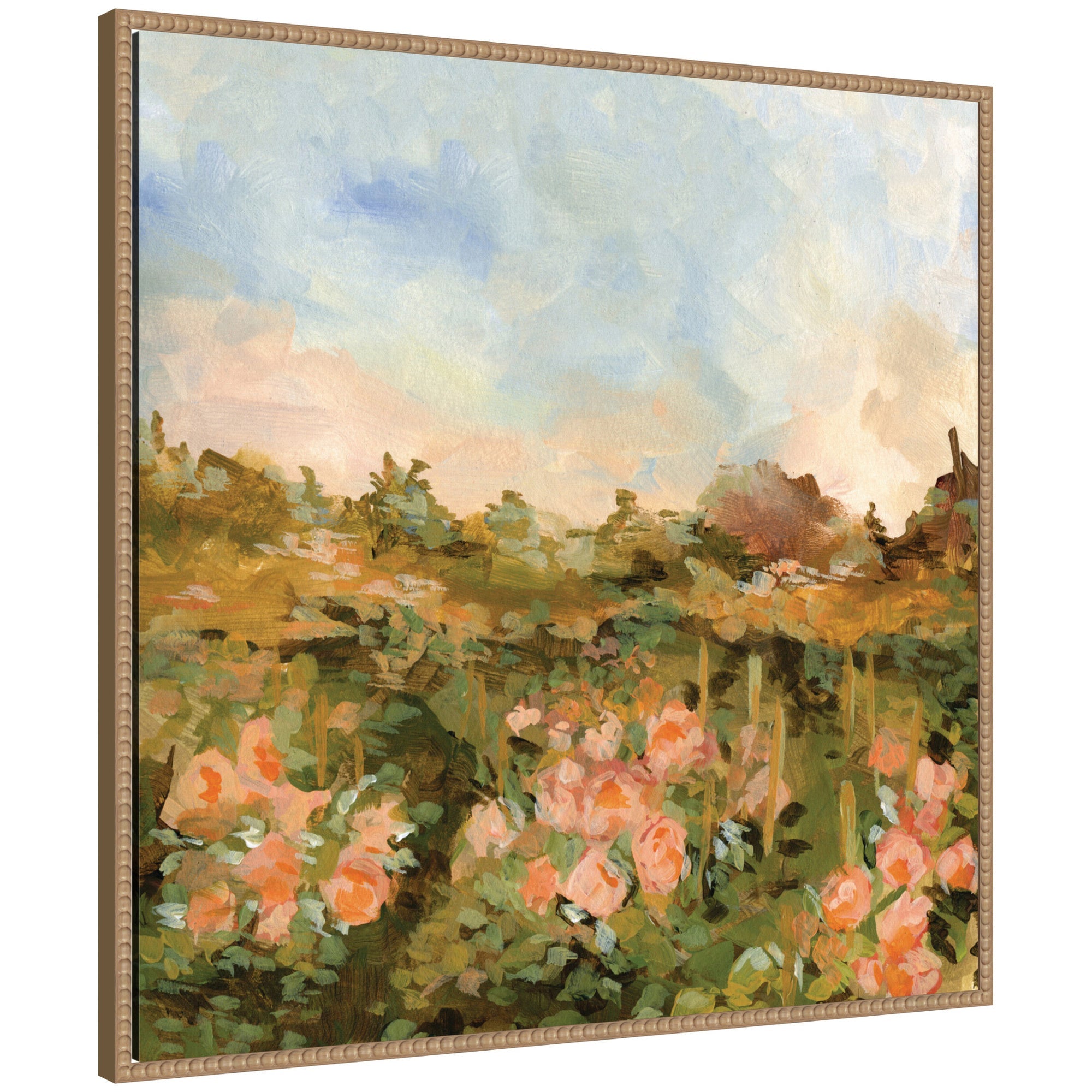 Rose Garden by Annie Quigley Framed Canvas Wall Art Print