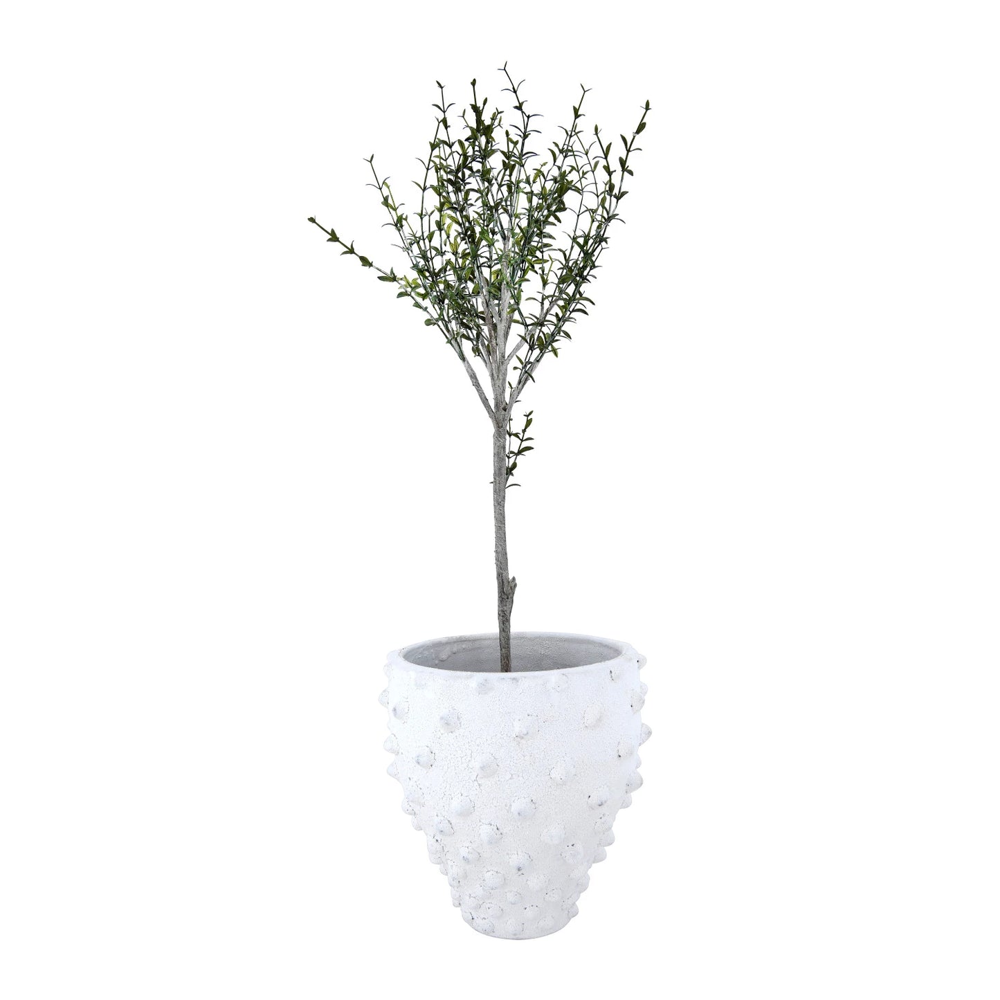 Terracotta Planter