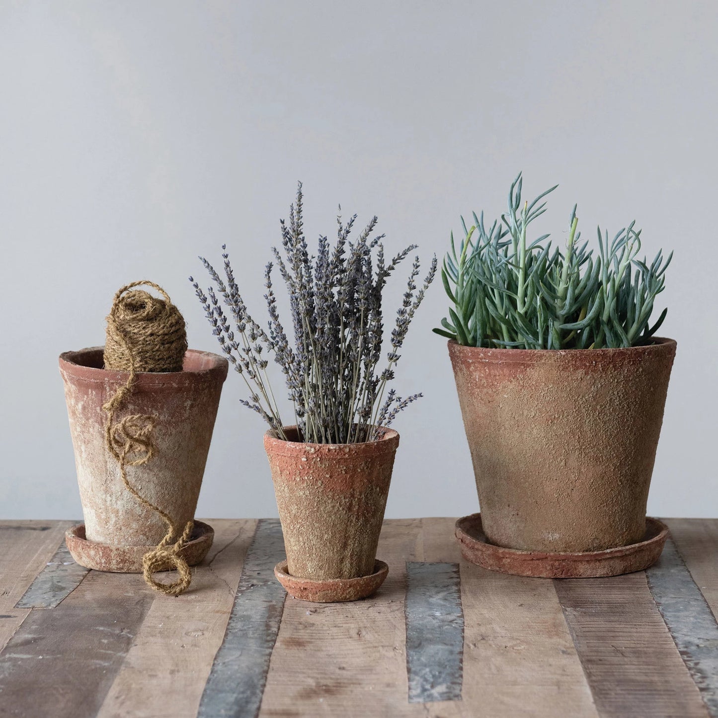 Cement Planter with Saucer