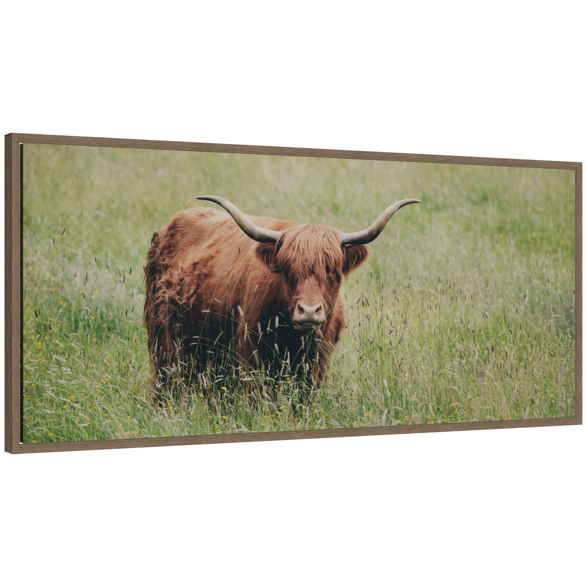 Highland Cow No. 1 by Laura Evans Framed Canvas Wall Art Print