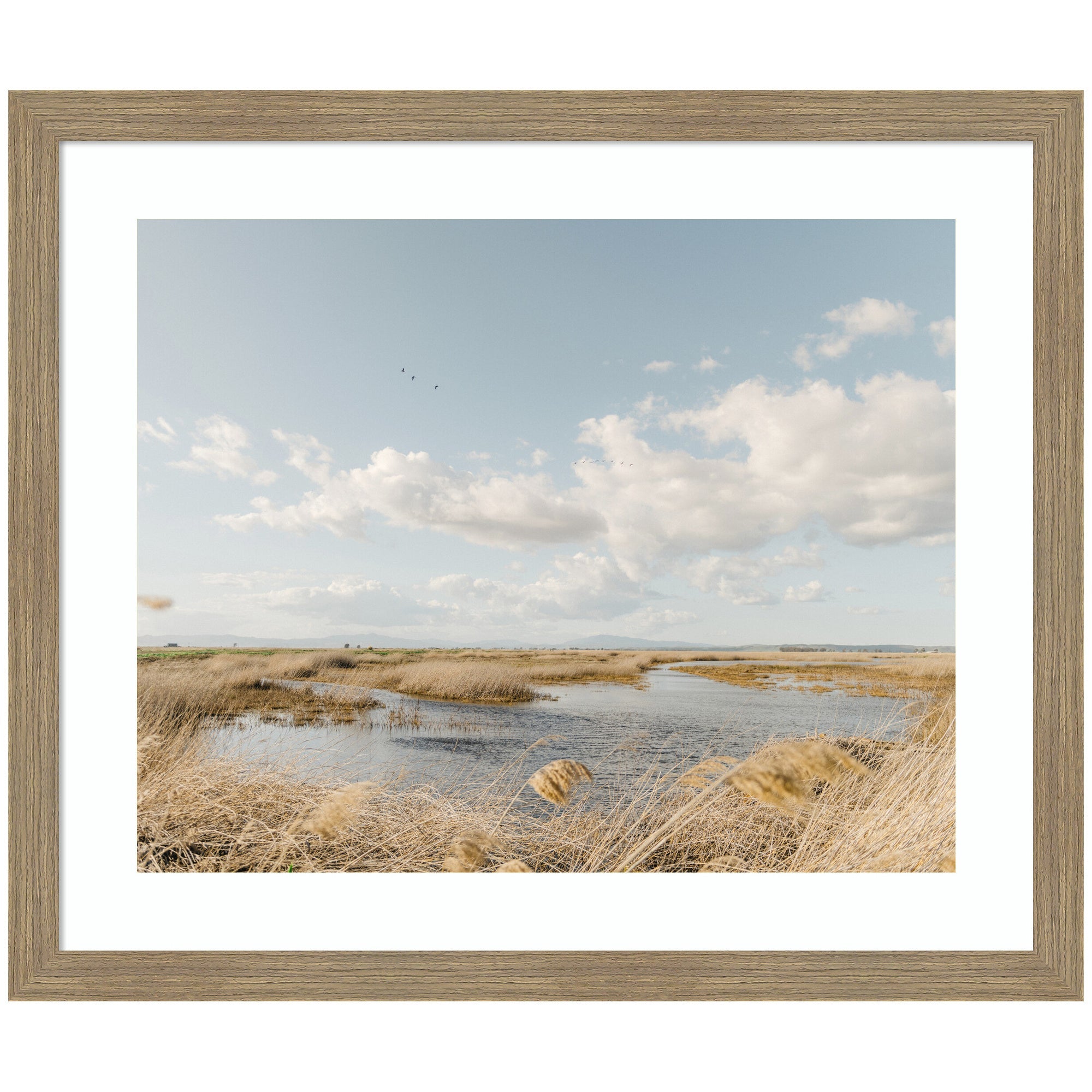 Framed Art Marshland by Crystal Lynn Collins