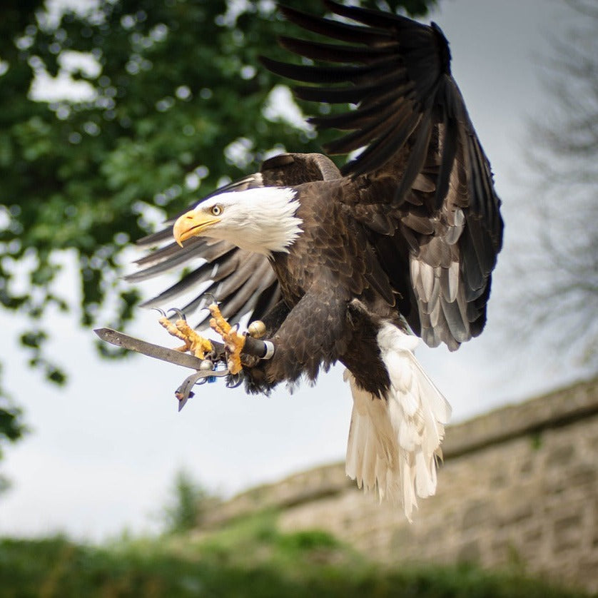 Eagle Finger Puppet