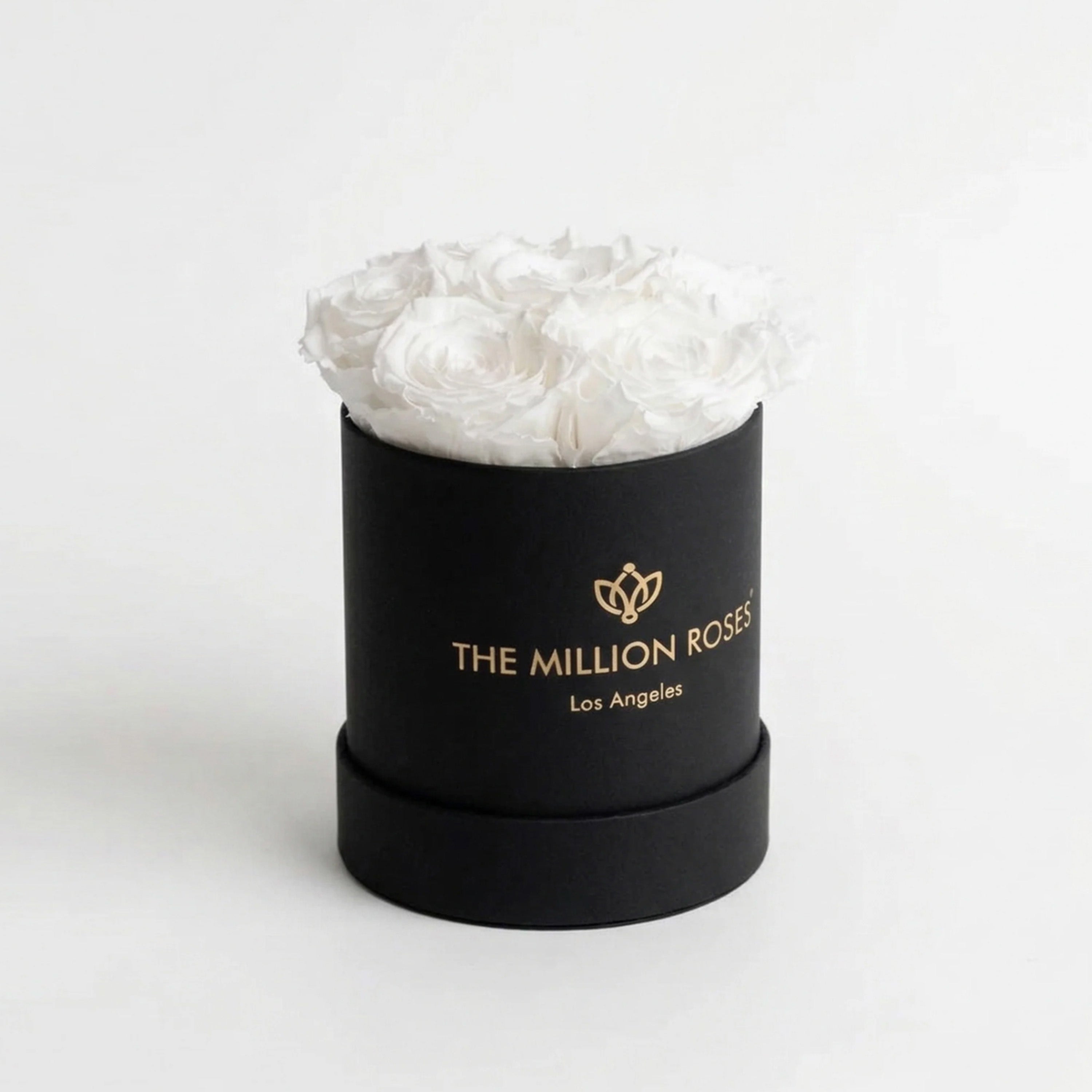 Essence Black Box | White Roses