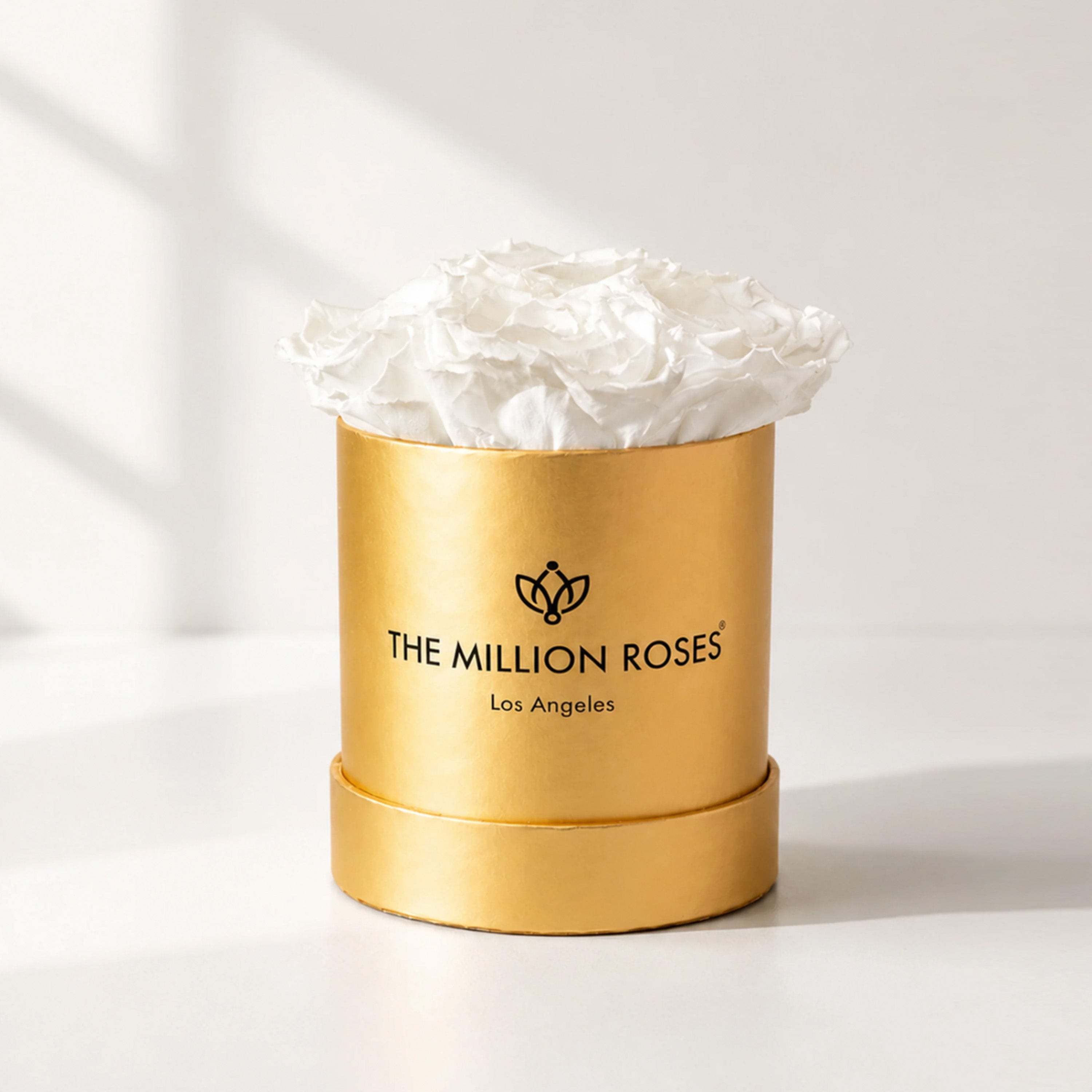 Essence Gold Box | White Roses