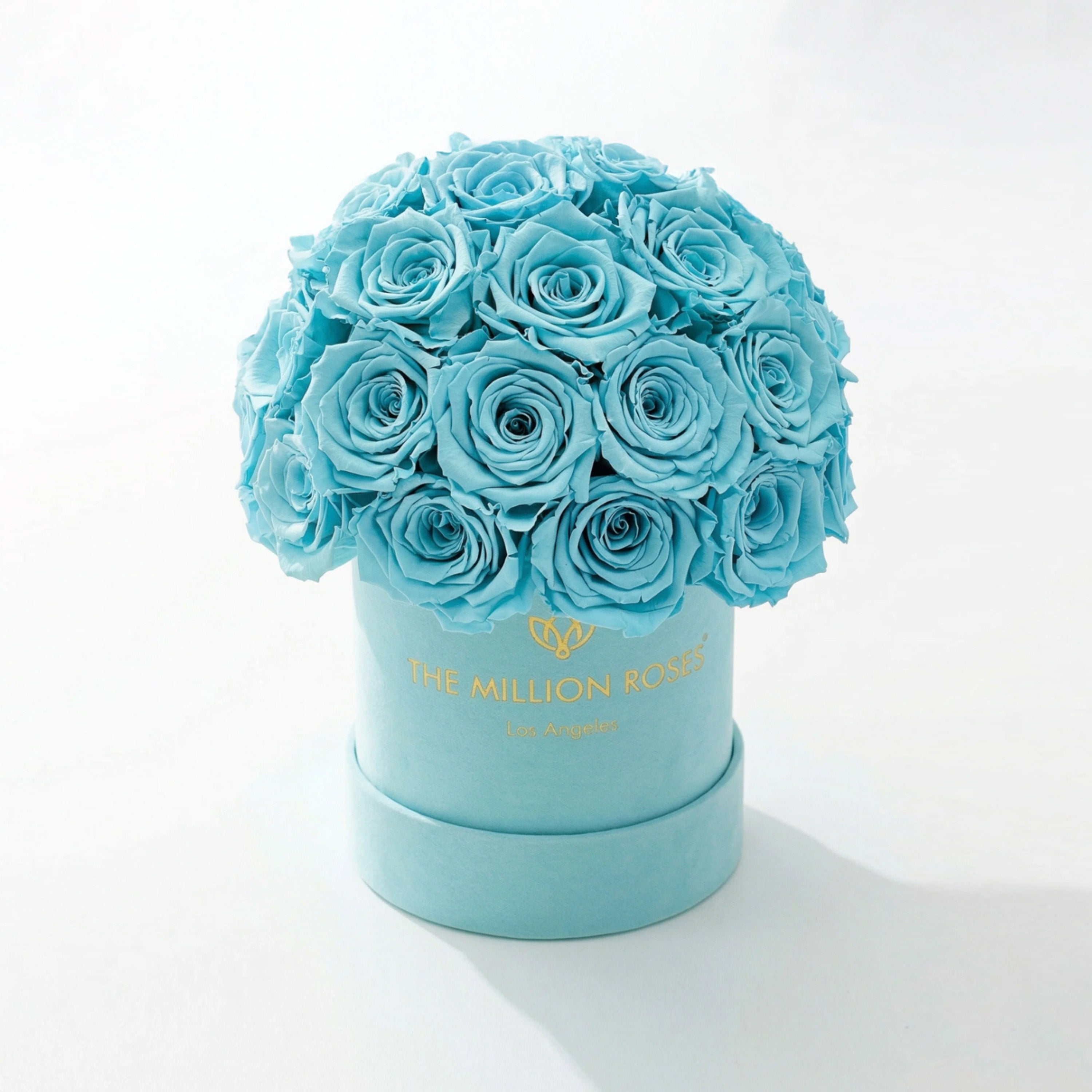 Essence Mint Green Suede Superdome Box | Turquoise Roses
