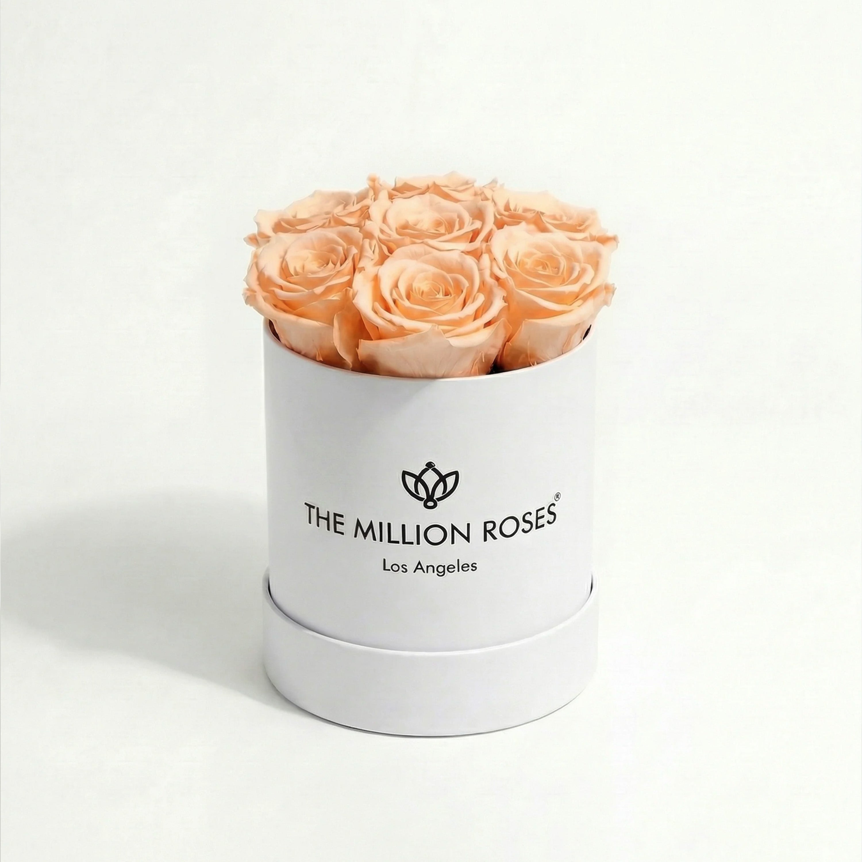 Essence White Box | Peach Roses