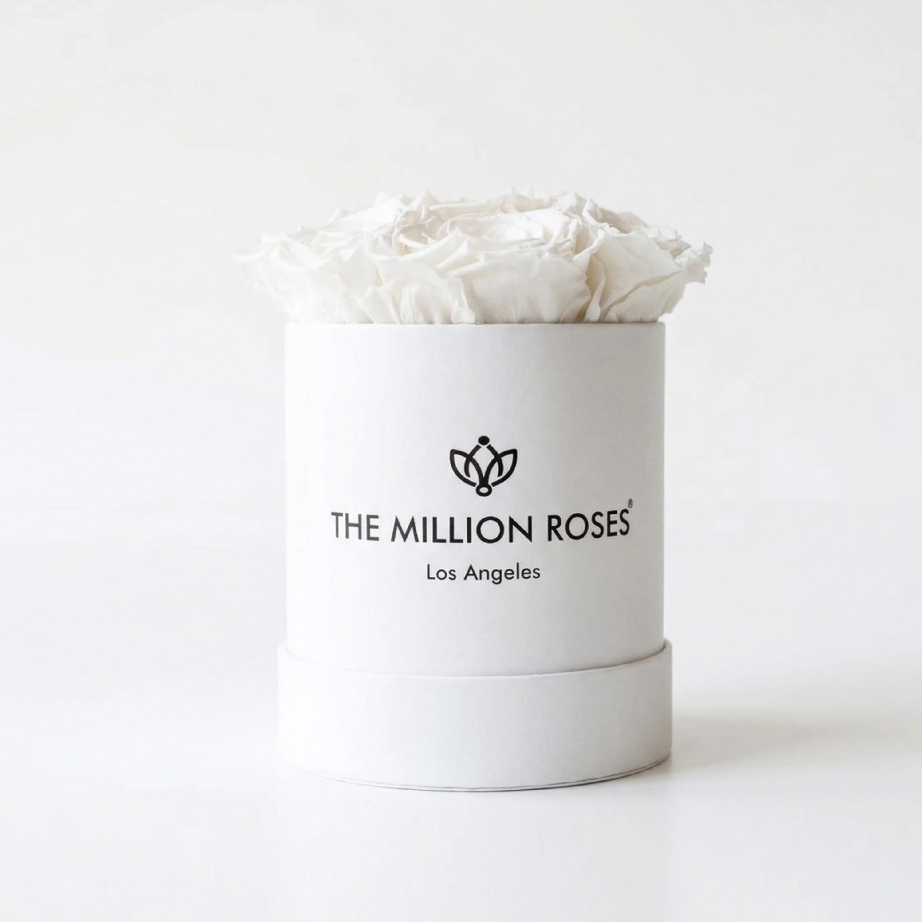Essence White Box | White Roses
