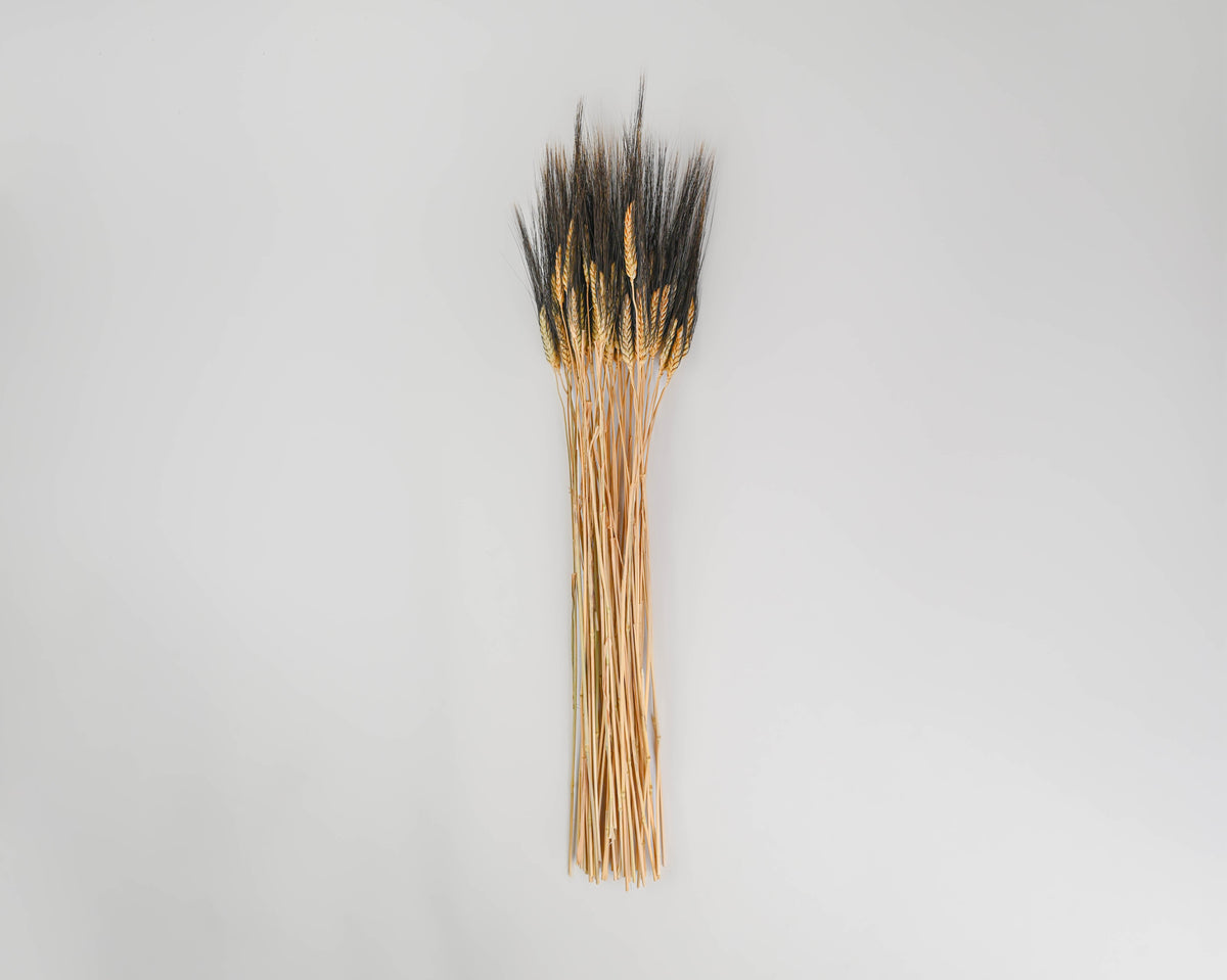 Blackbeard Wheat Bunch - 8oz | 20 Bunches | Long
