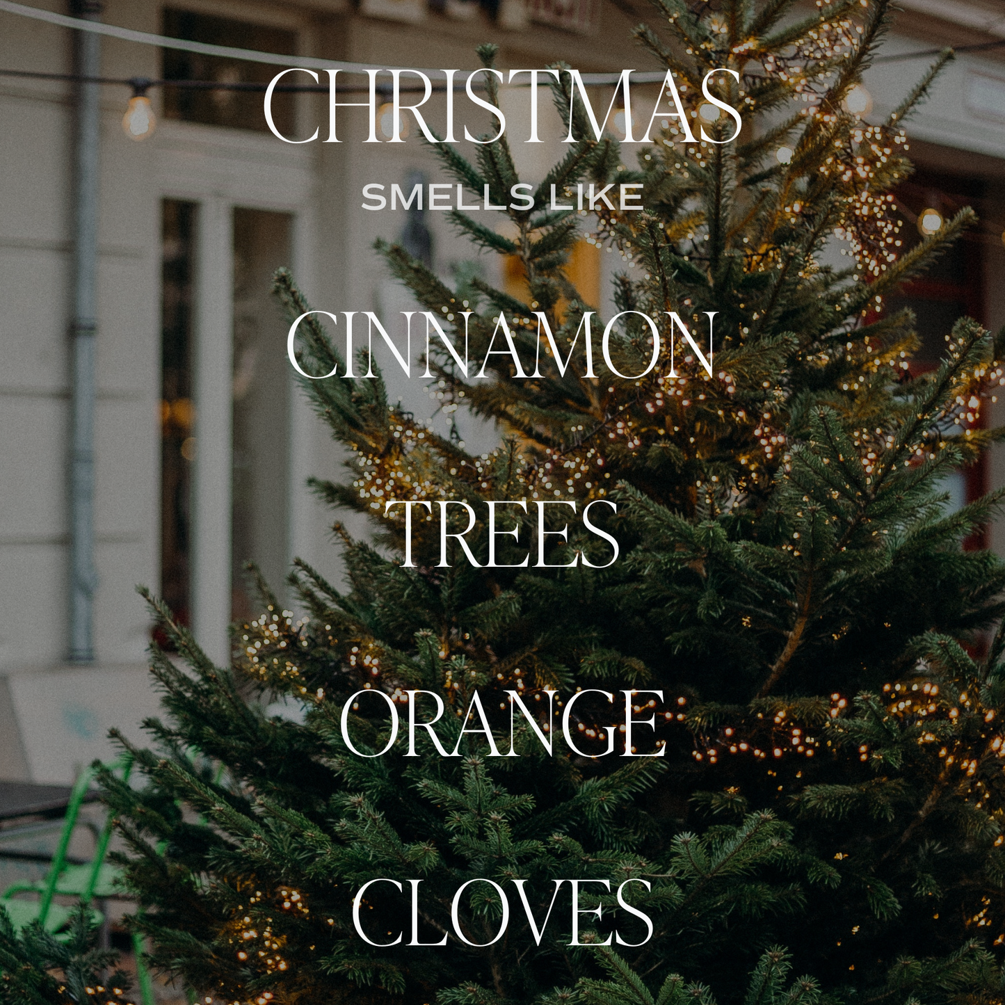 Christmas 11 oz Soy Candle