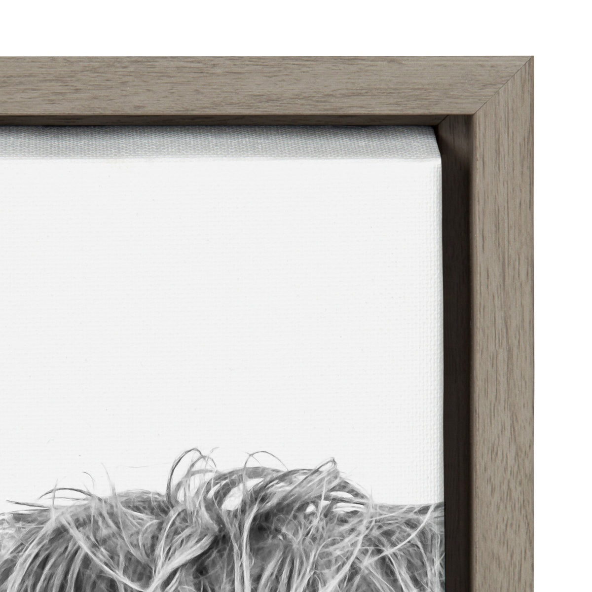 Sylvie B&W Highland Cow No. 1 Framed Canvas by Amy Peterson Art Studio