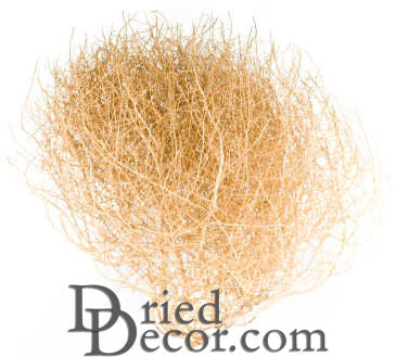 Gigantic Country Tumbleweed | Natural