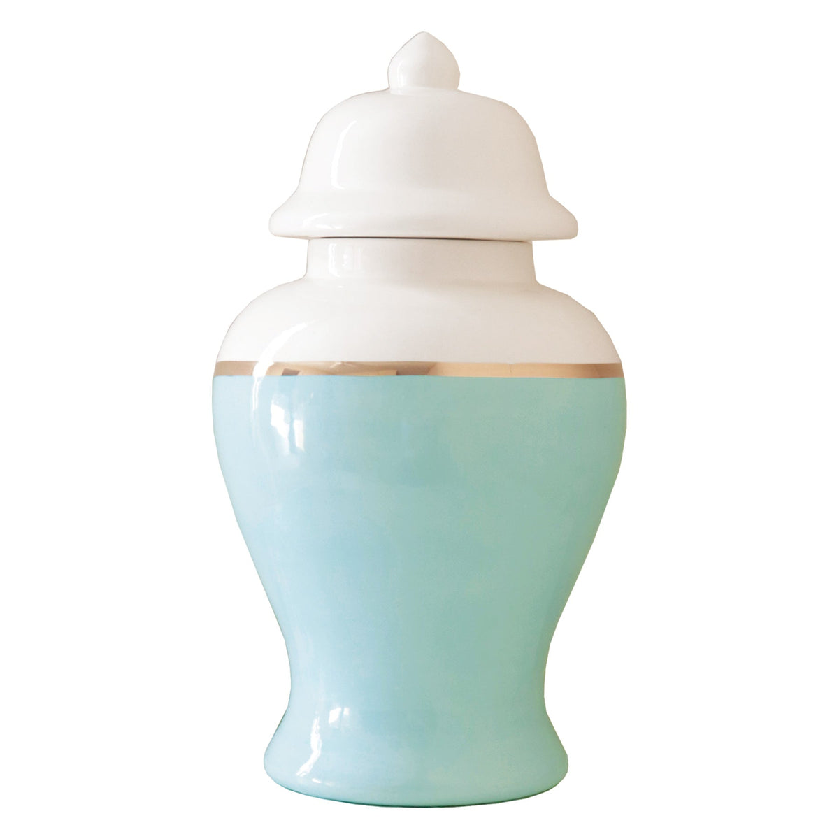 Robin's Egg Blue Color Block Ginger Jar with Gold Accent