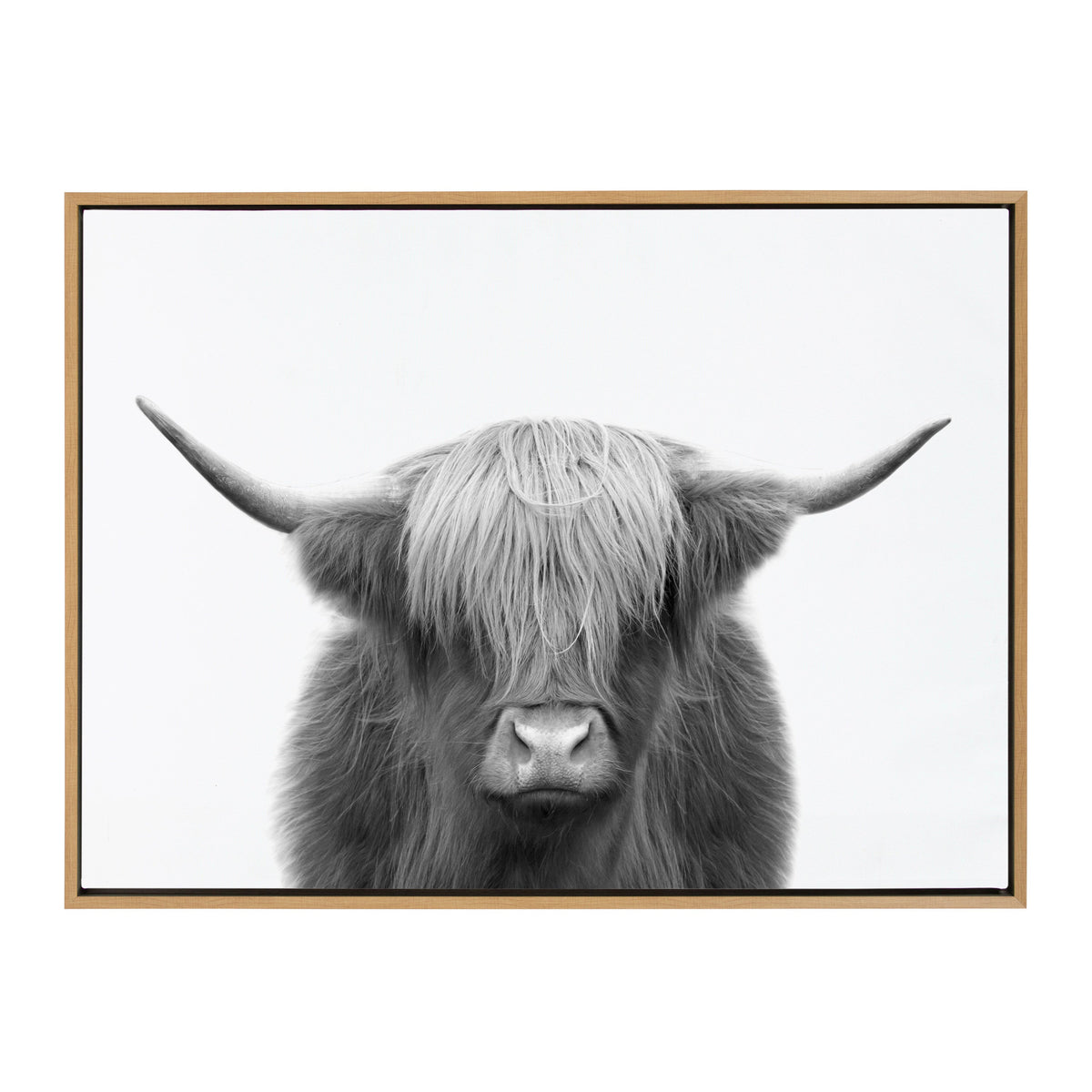 Sylvie Hey Dude Highland Cow BW Framed Canvas by The Creative Bunch Studio