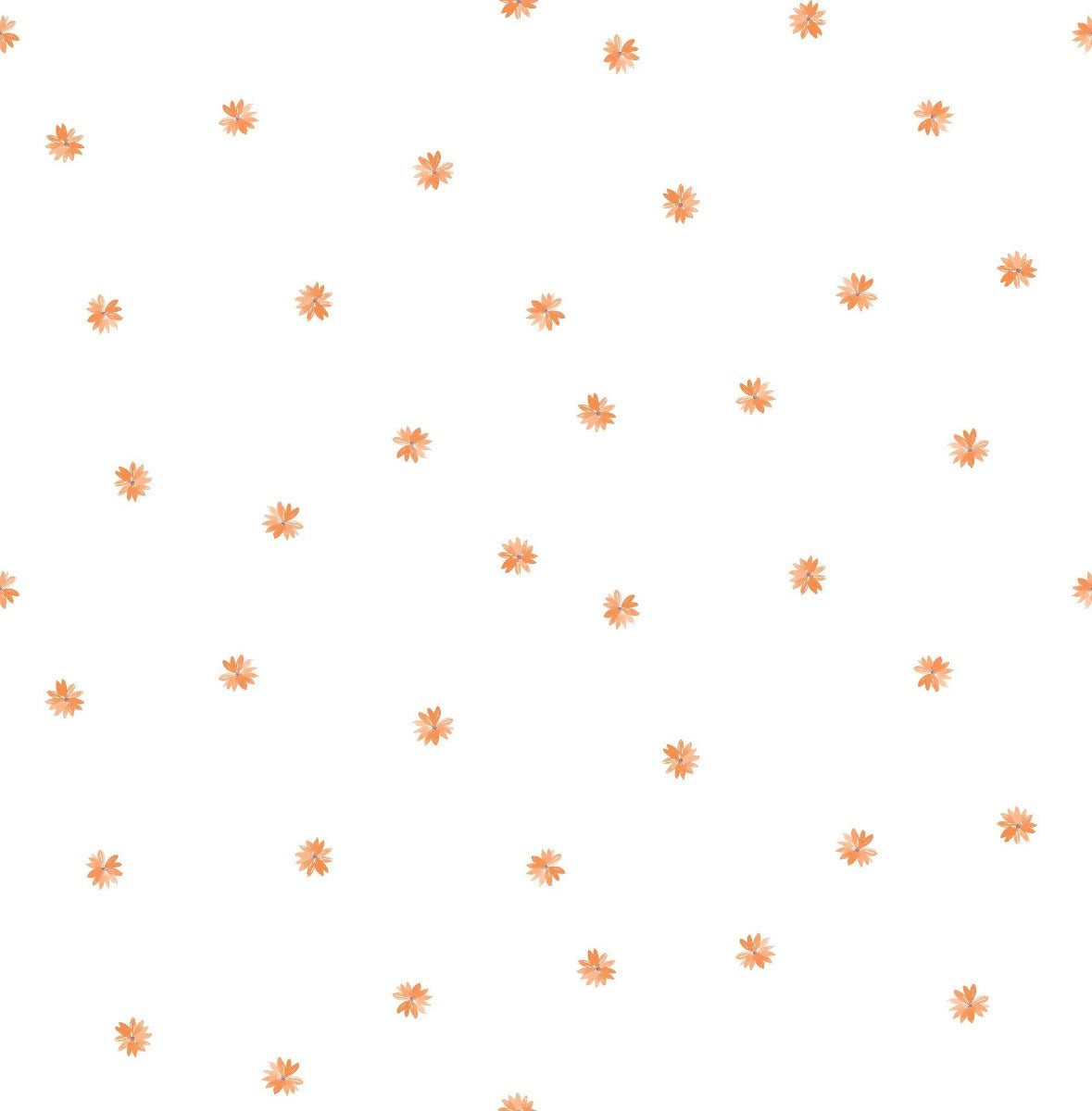 Day Dreamers Little Daisy Floral Unpasted Wallpaper